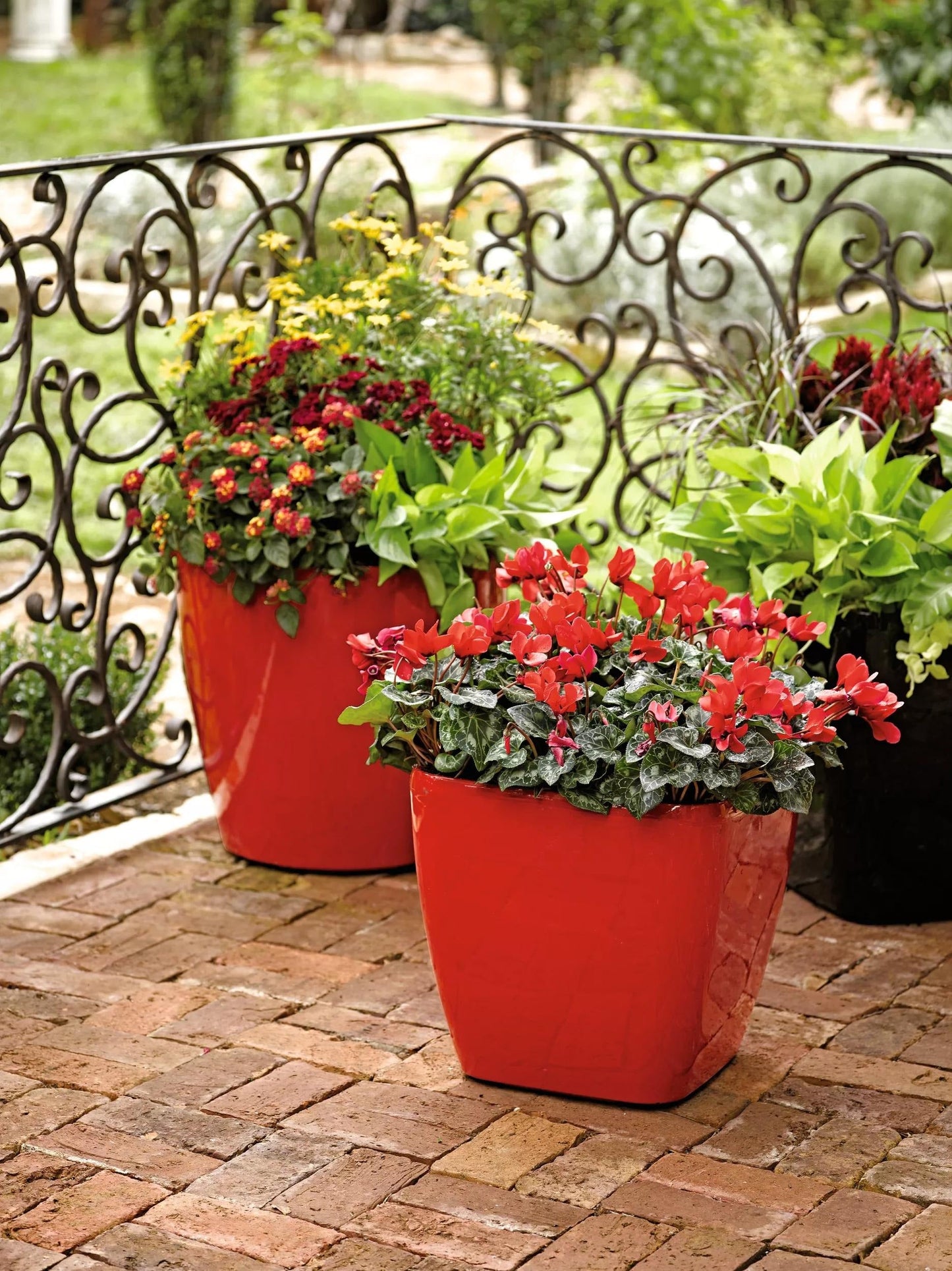 VivaTM Square Self-Watering Rolling Planter, 14" Diameter