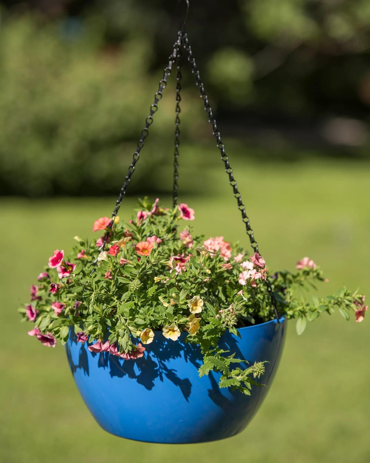 VivaTM Self-Watering Hanging Basket, 14" Diameter