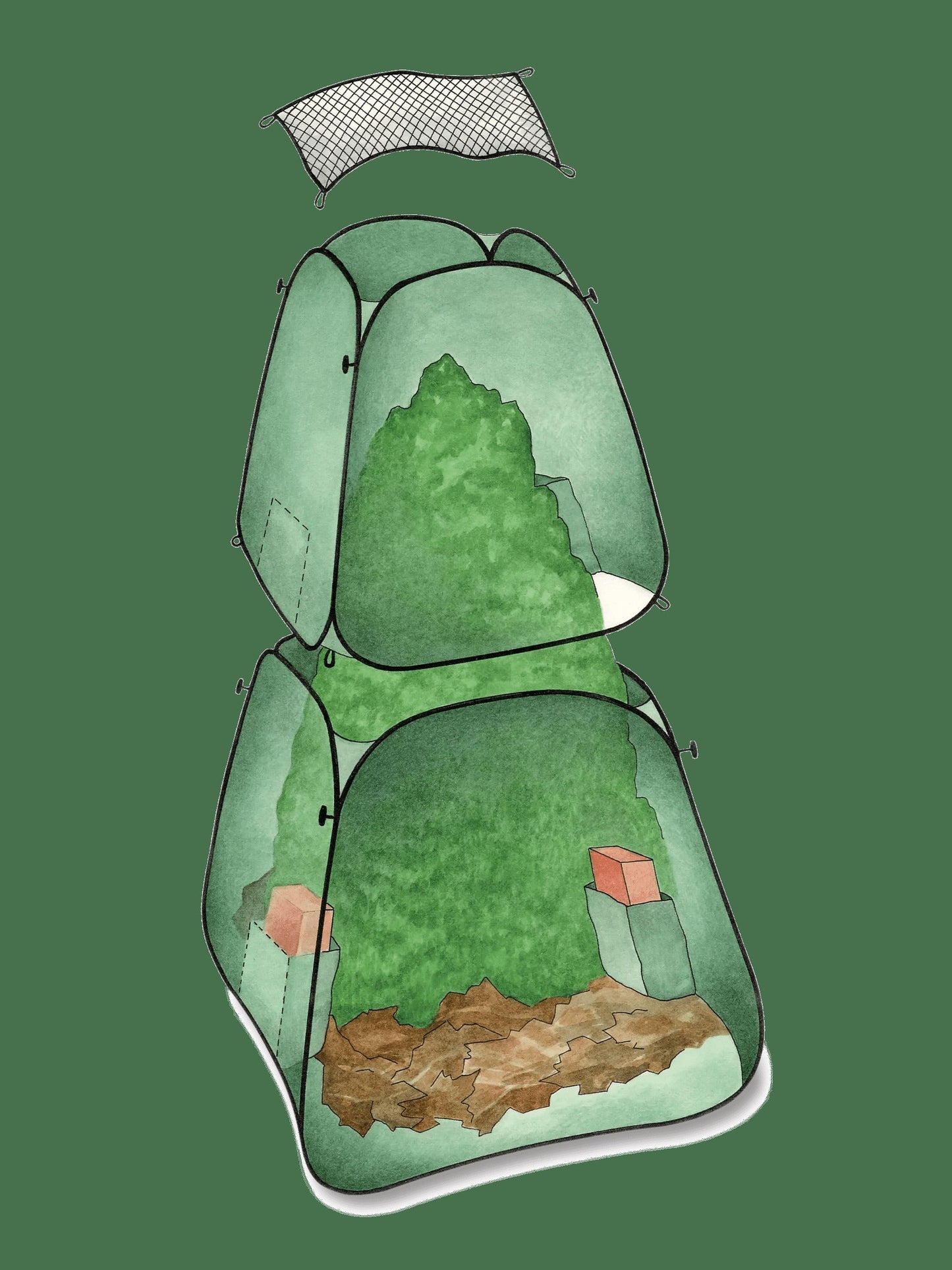 Pop-Up Plant Protector