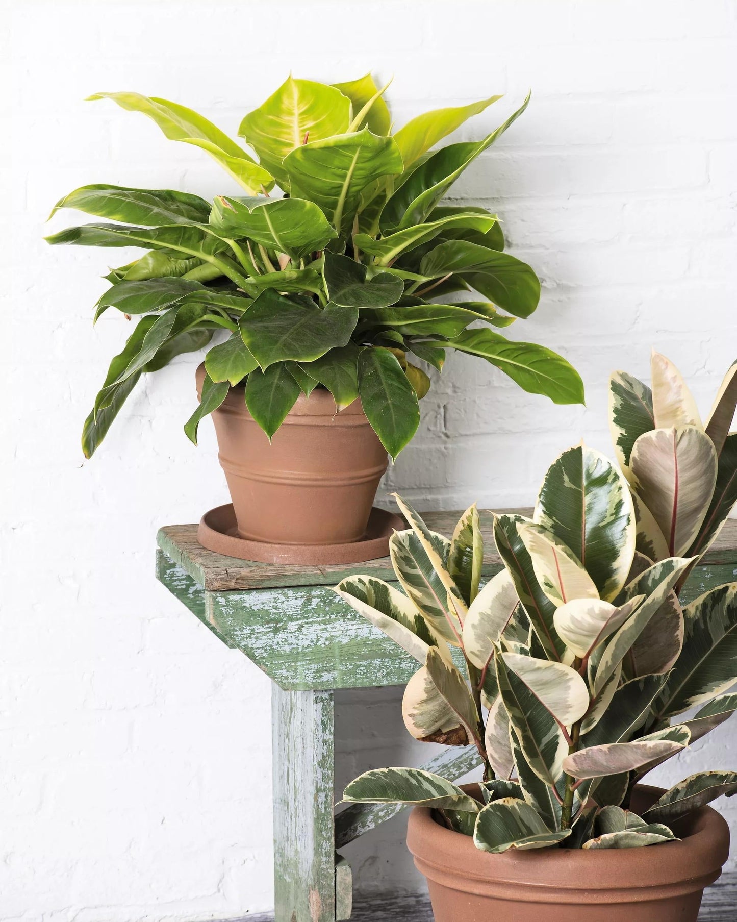 Brunello Planters