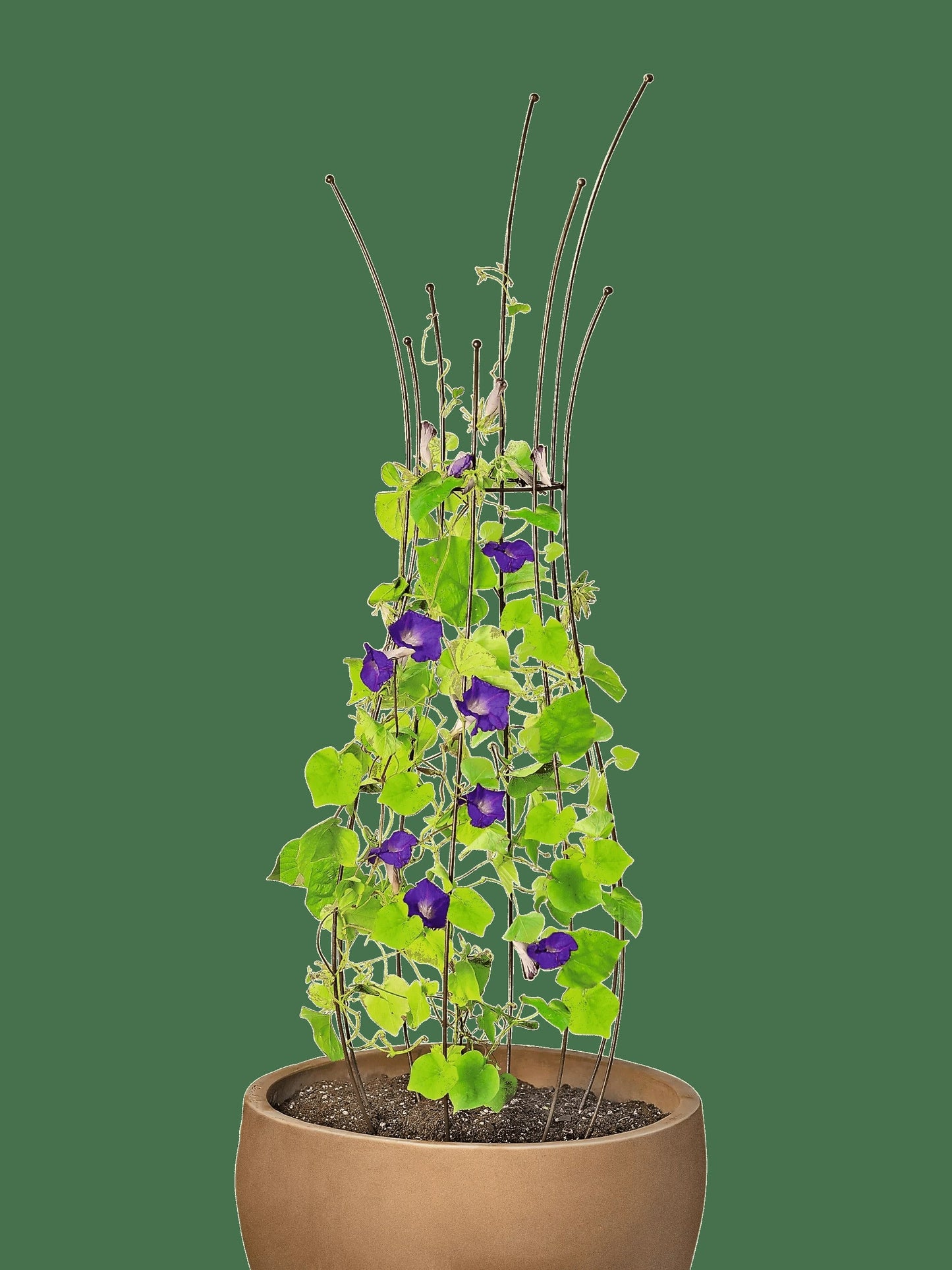 JardinTM Pot Trellis