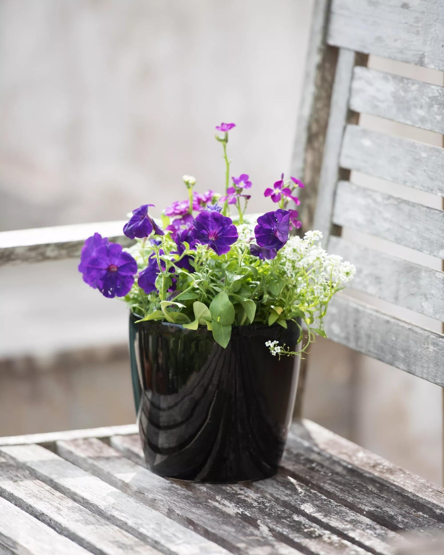 VivaTM Round Self-Watering Planter, 7" Diameter