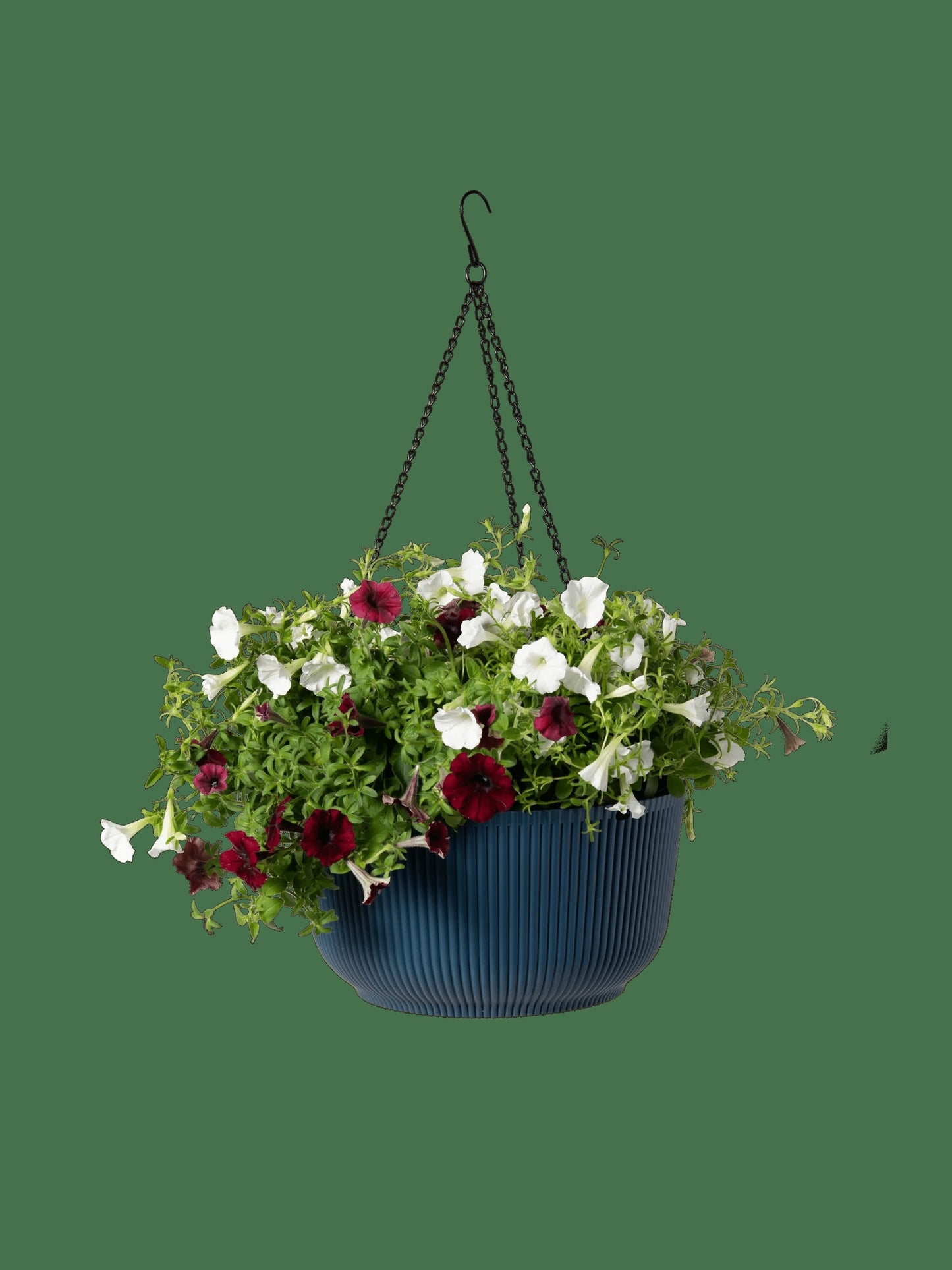 Self-Watering Ribbed Hanging Basket, 11", Set of 2