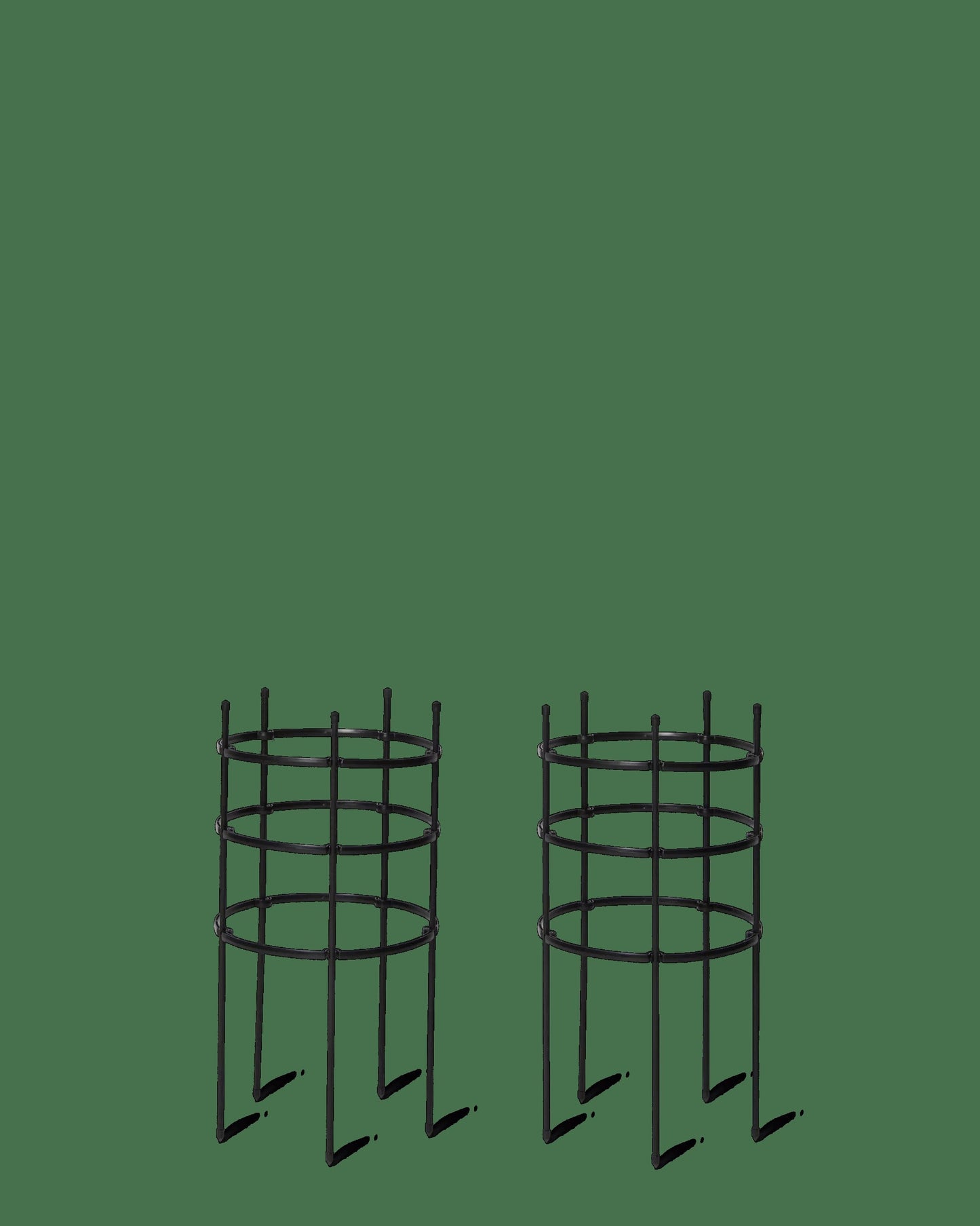 TitanTM Peony Supports, Large, Set of 2