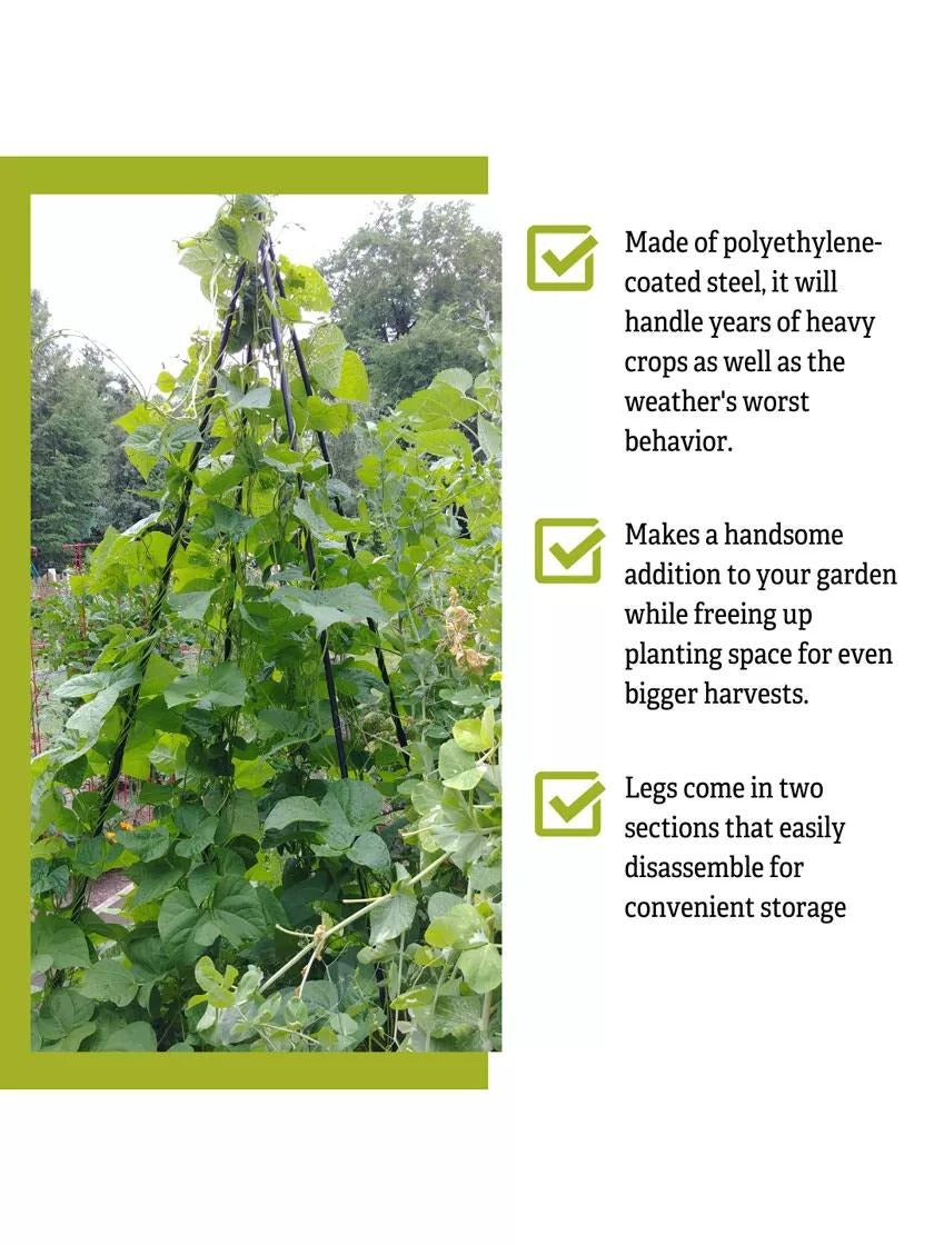 TitanTM Teepee Trellis