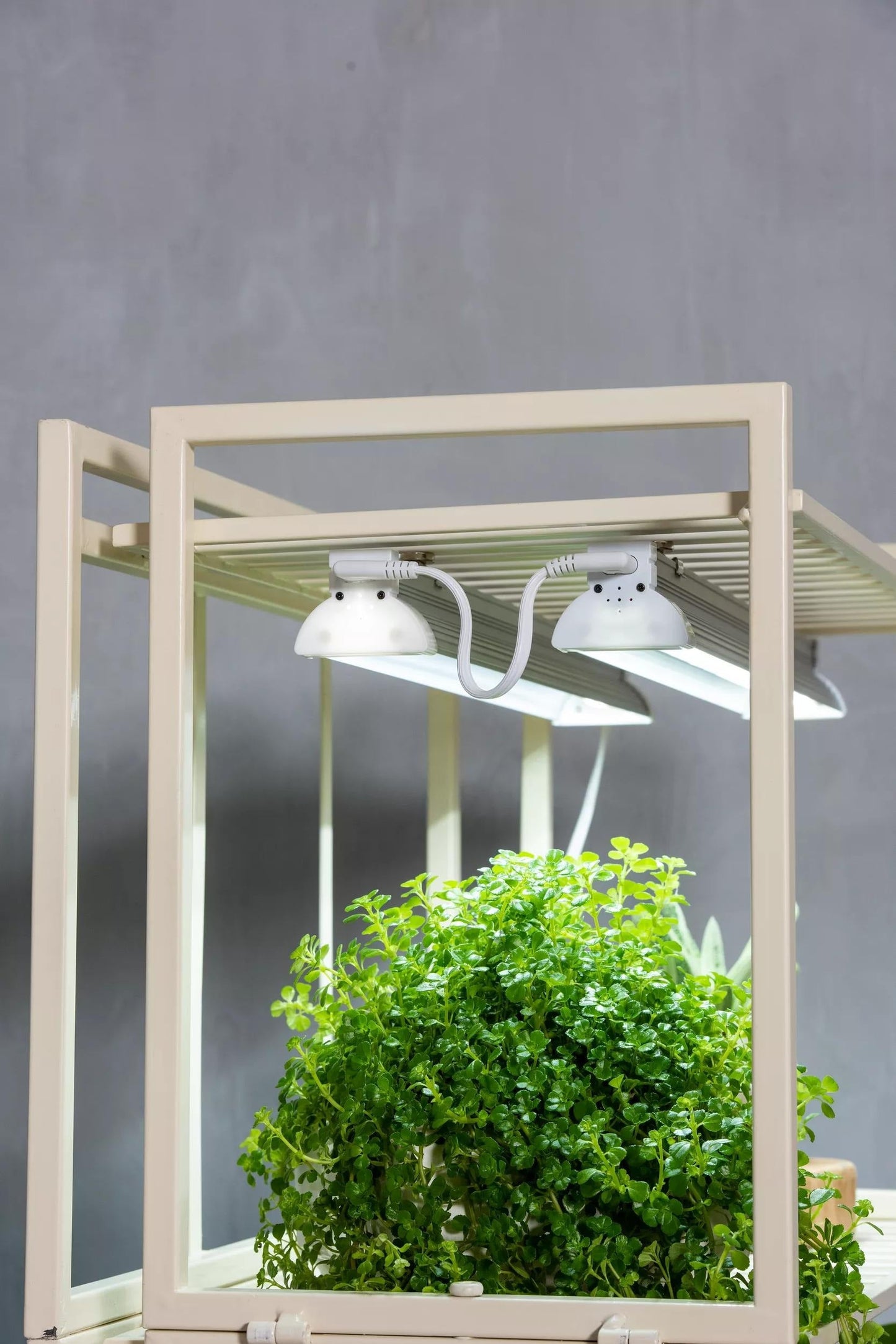 OsloTM 2' LED High Output Replacement Fixtures with Magnetic Clips, Set of 2
