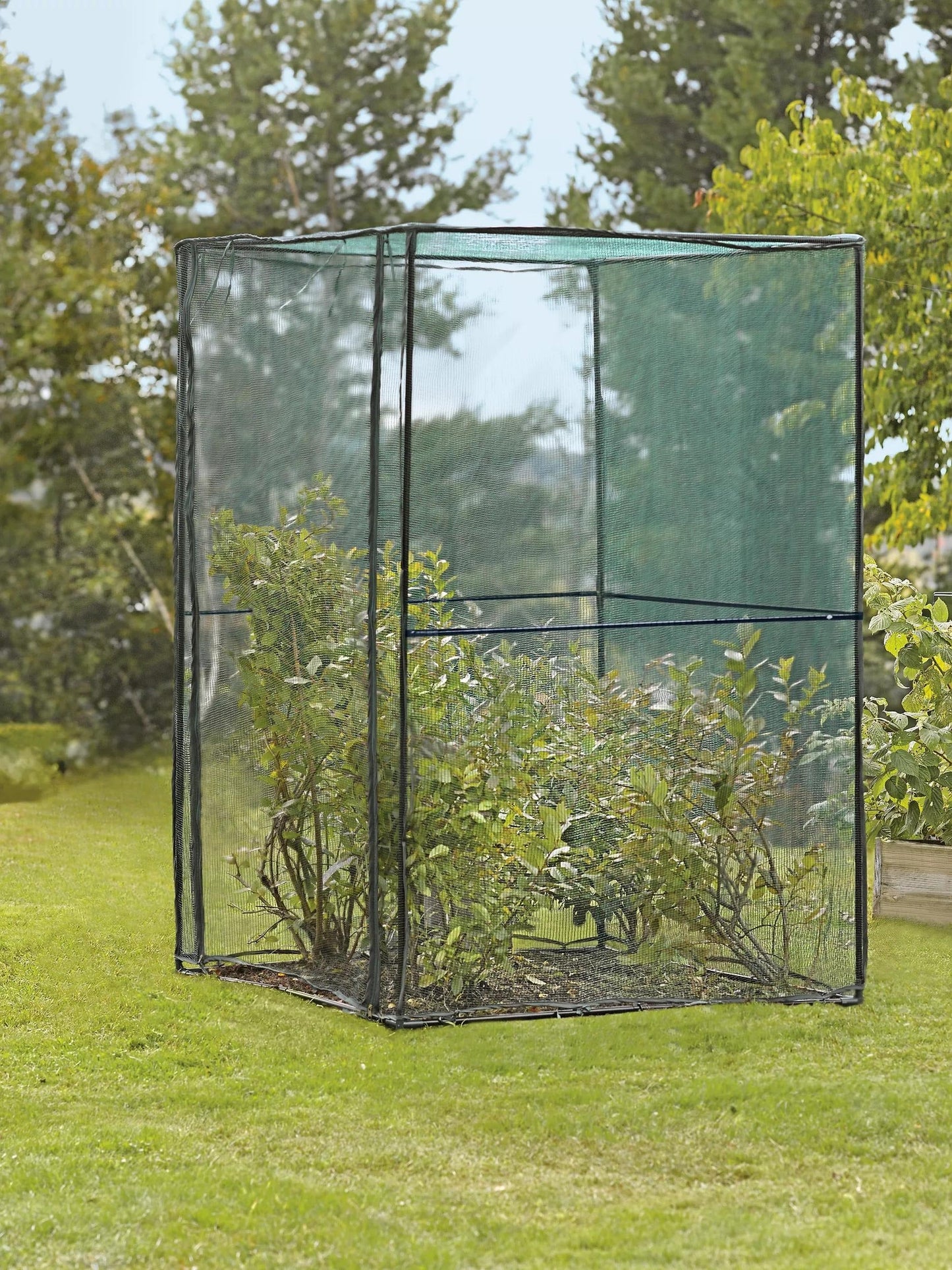 Crop Cage, 4' x 4'