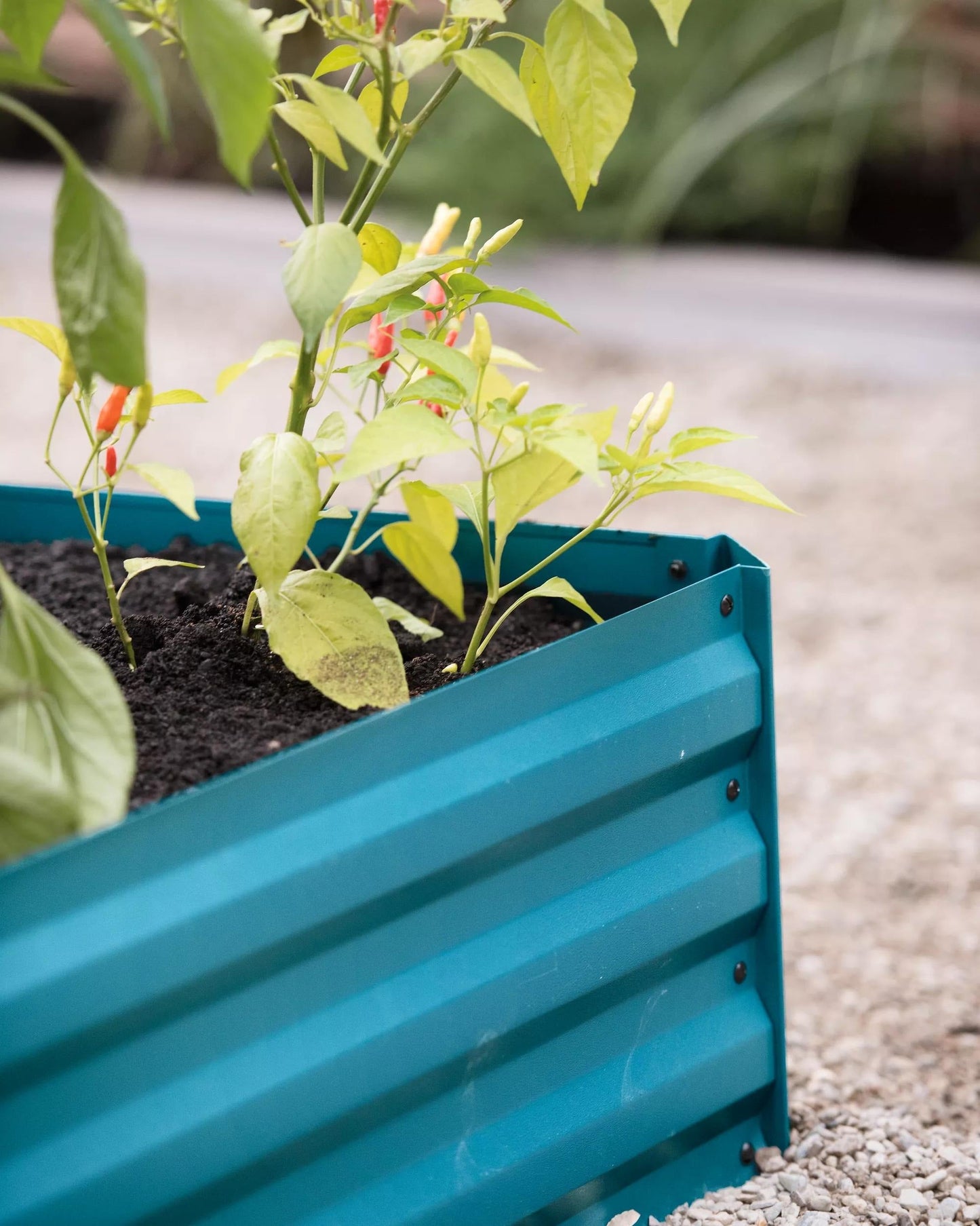 DemeterTM Corrugated Metal Raised Bed, 34" x 68" (12" D)