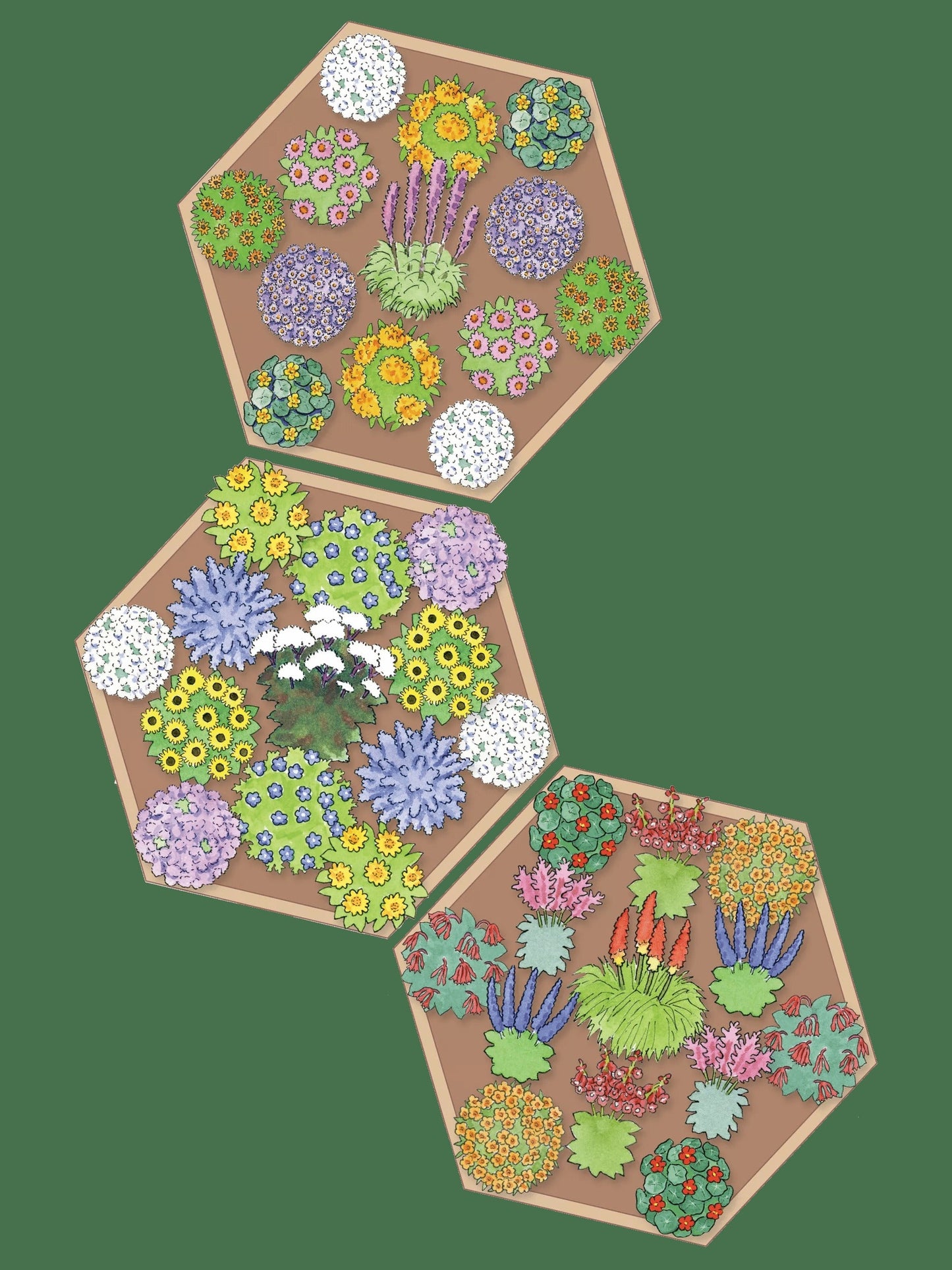 Pollinator Cedar Garden Bed