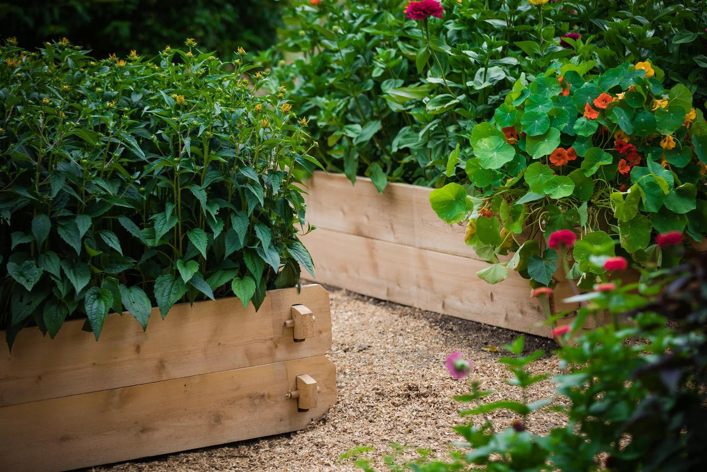 Farmstead Cedar Raised Garden Beds, 2'