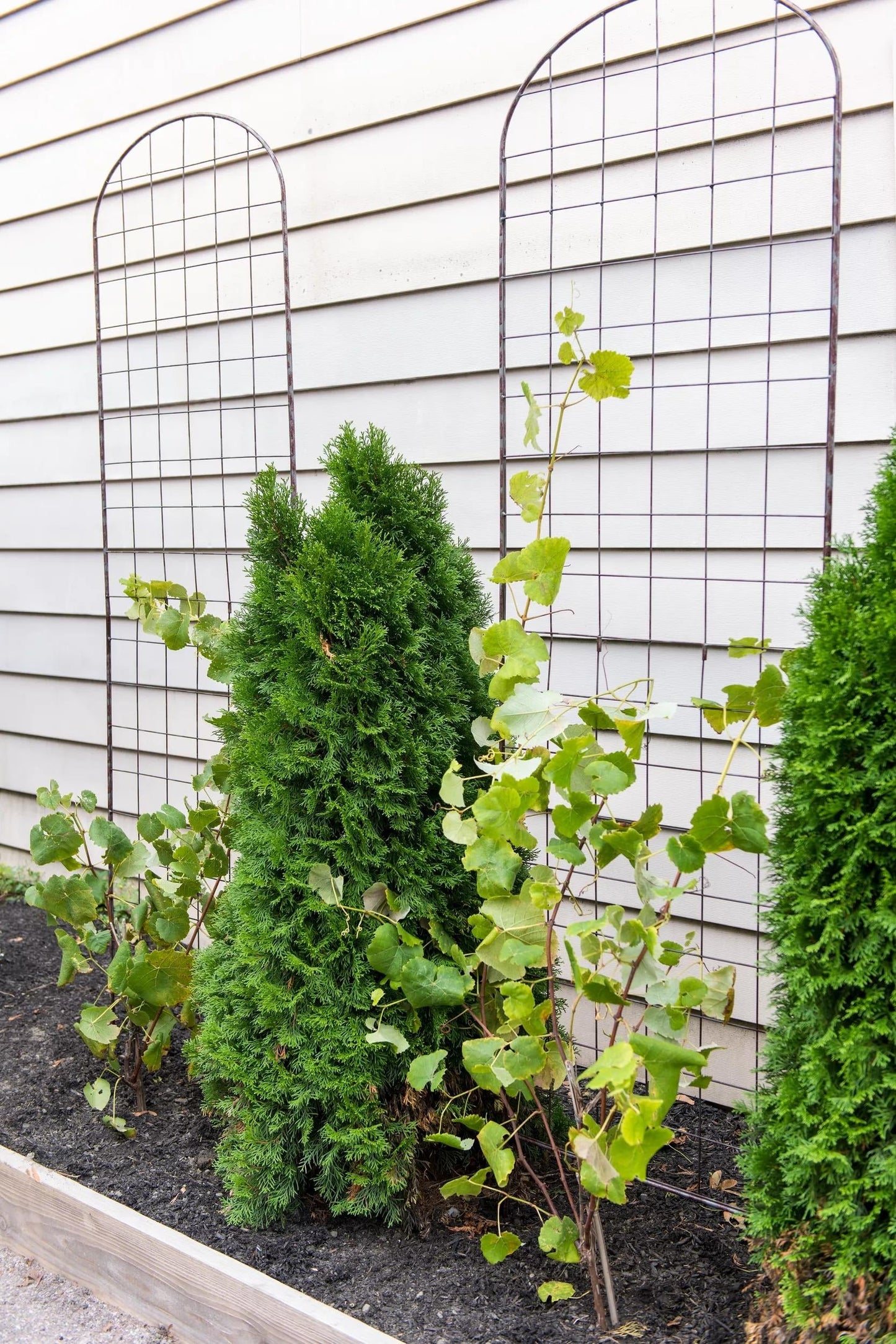 JardinTM Flower Trellis