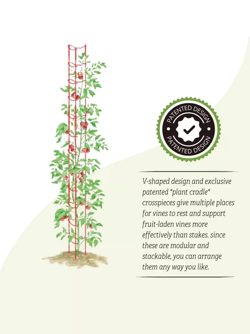 Stacking Tomato Ladders, Set of 6