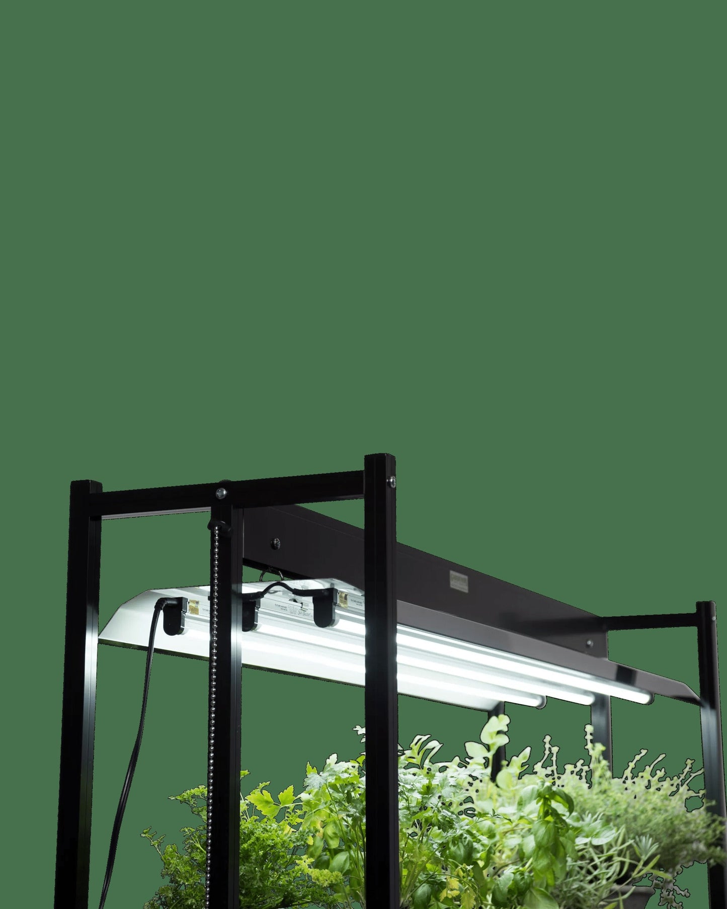 LED SunLite® High Intensity Fixture