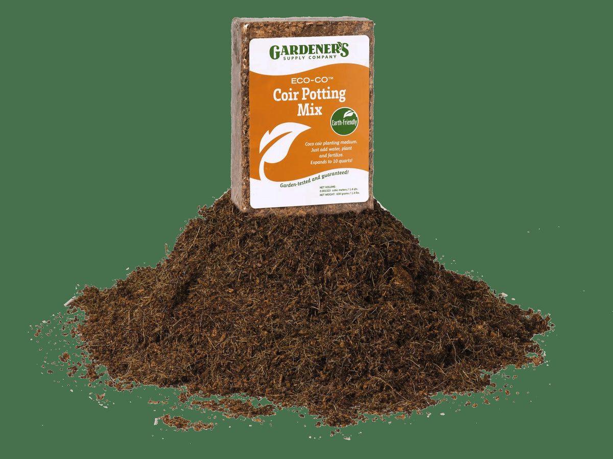 Coco Coir Bricks, Set of 12