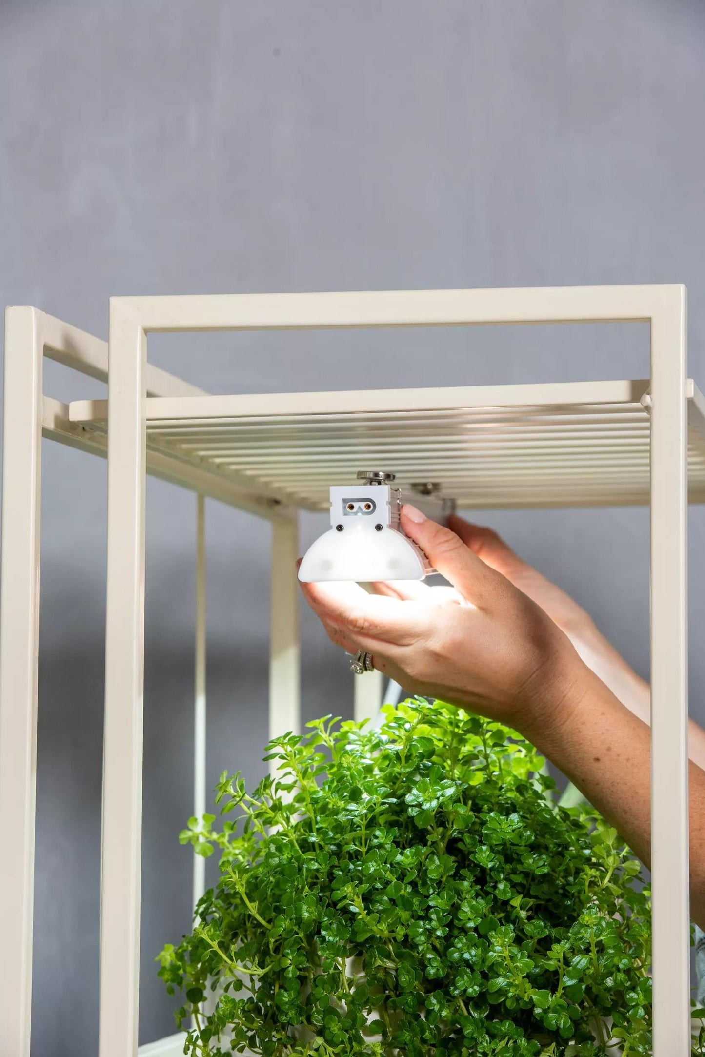 OsloTM 2-Tier LED Grow Light Garden, 2 Fixtures