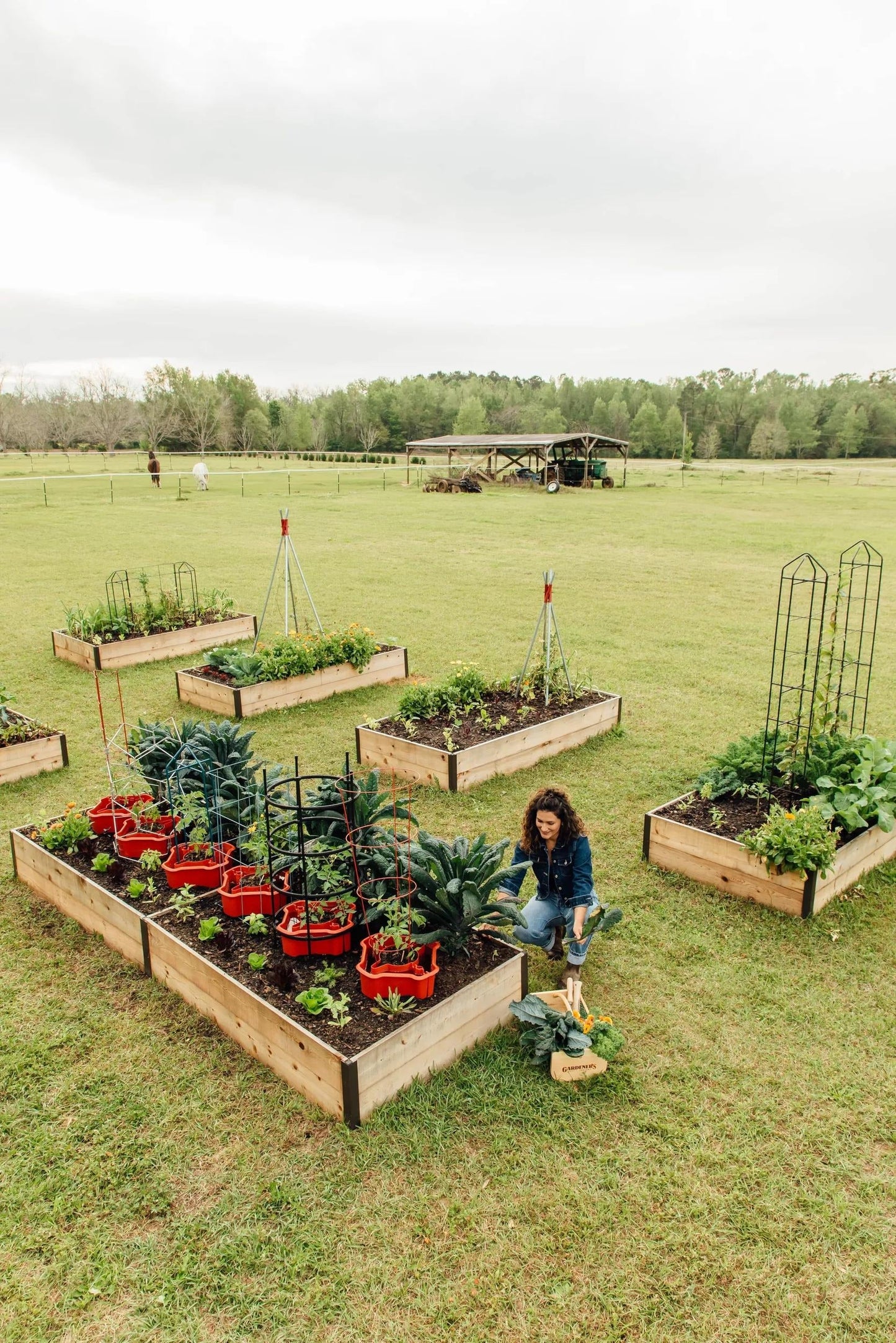 Deep RootTM Cedar Raised Beds, 4' Wide (14.5" D)
