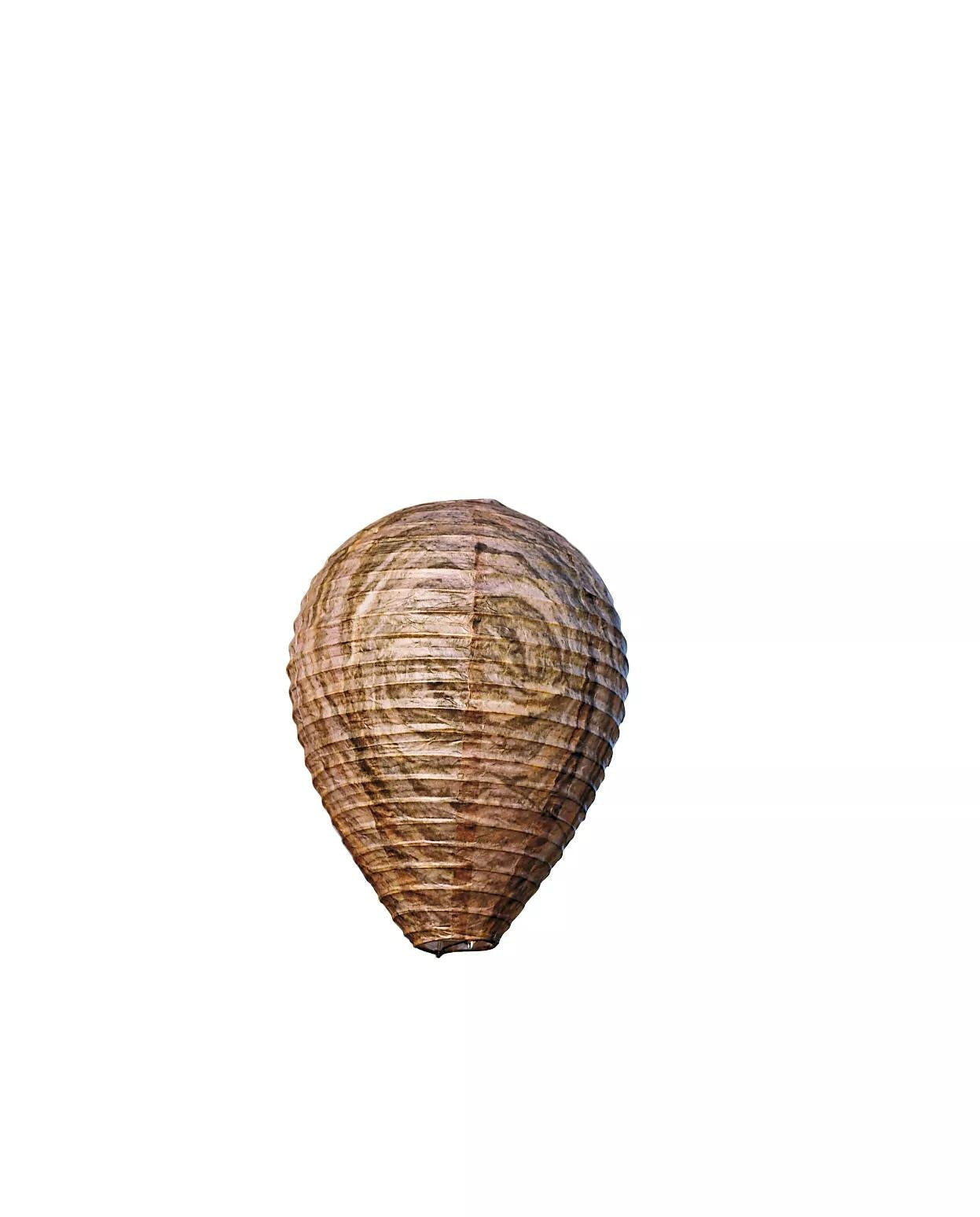 Natural Wasp Deterrent, Set of 2