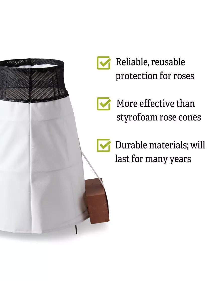 Rosy Cozy® Rose Cone, Large