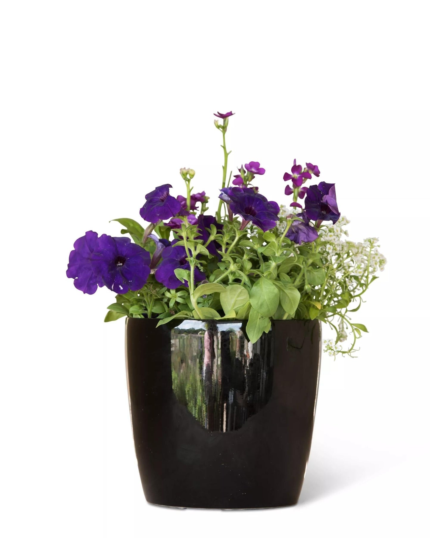 VivaTM Round Self-Watering Planter, 7" Diameter
