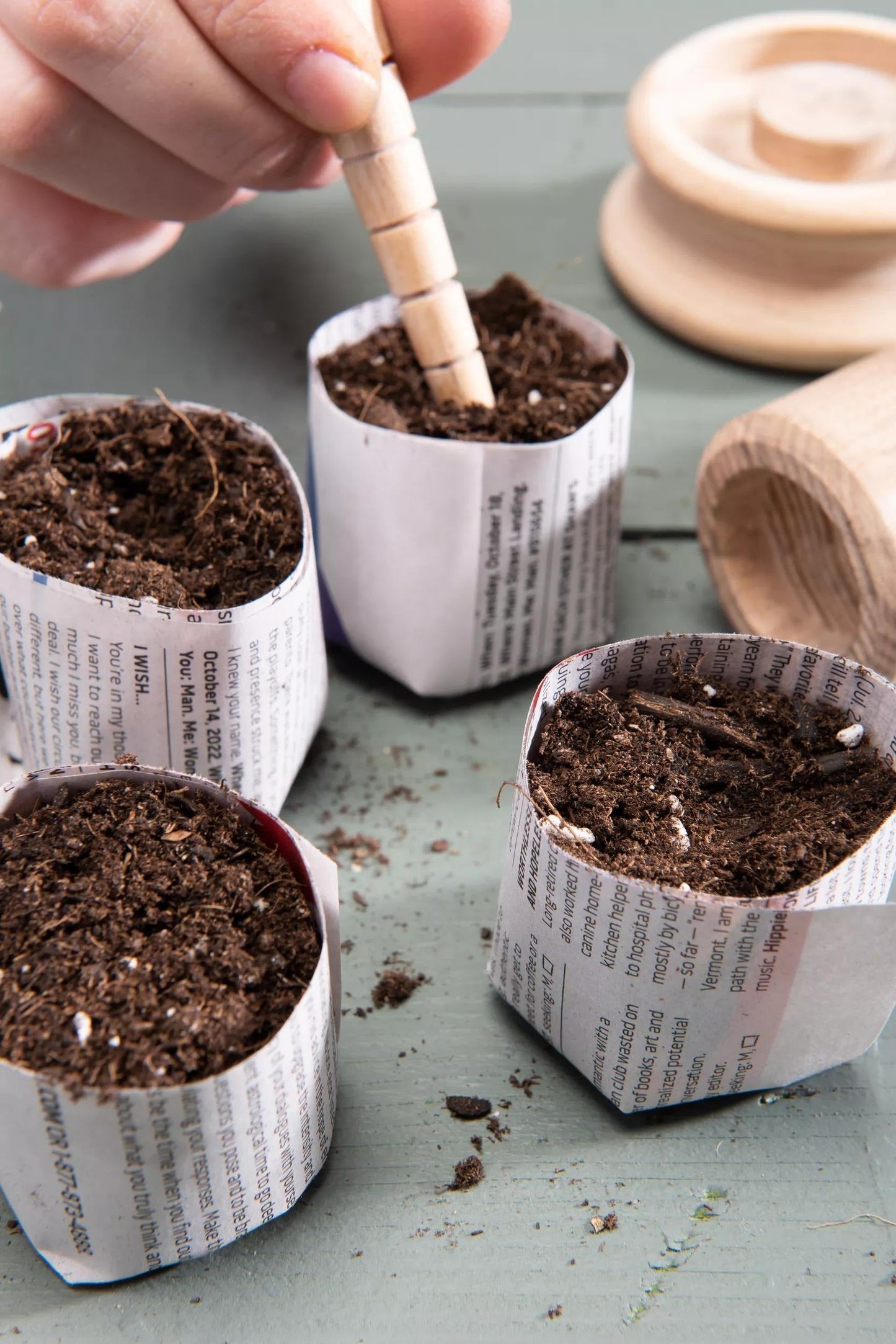 Organic Seed Starting Mix, 6 Quarts