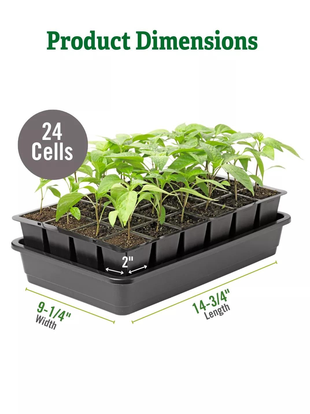 GrowEaseTM Seed Starter Kit