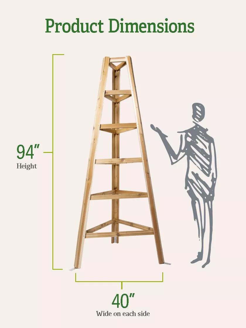 Cedar Obelisk, 8'