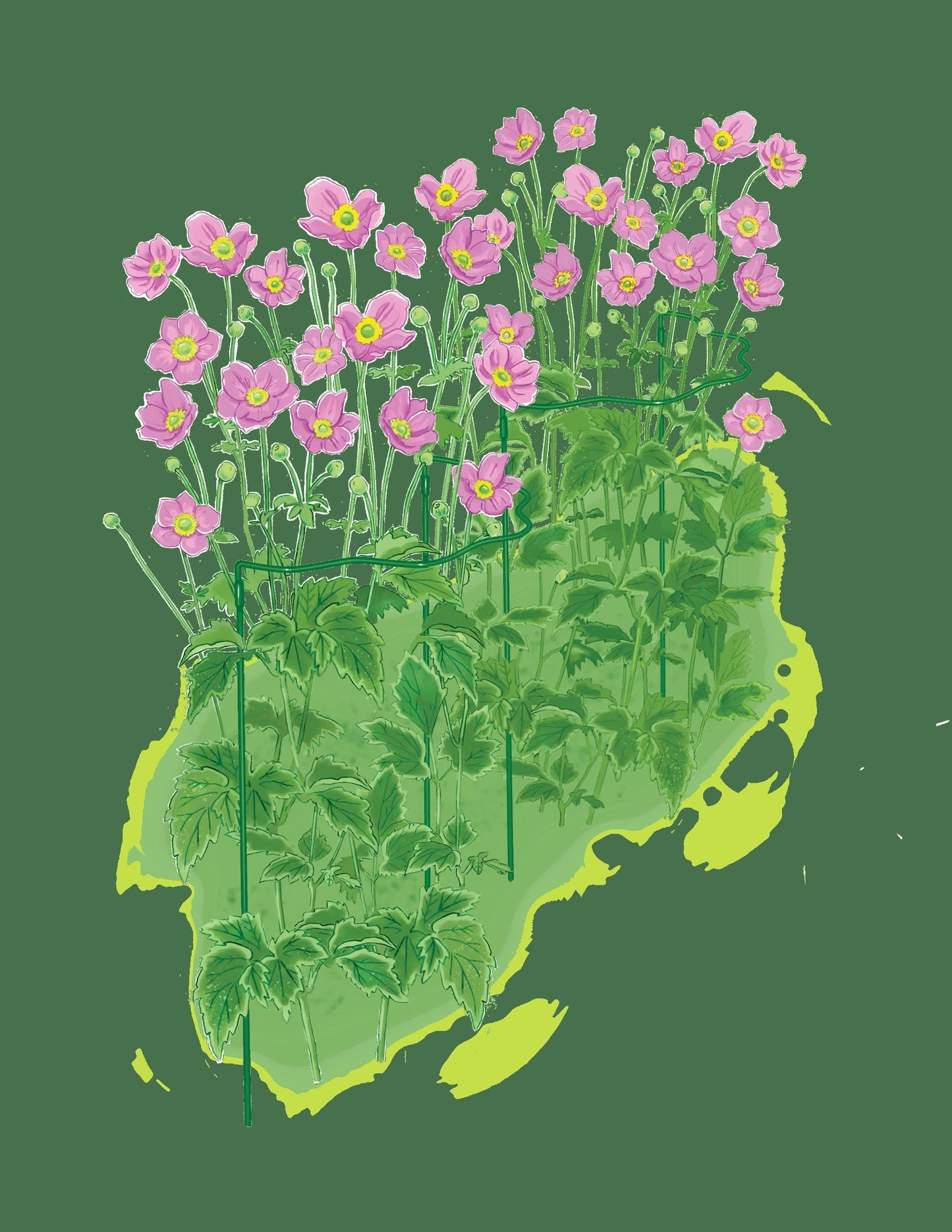 Scalloped Plant Supports, Set of 2