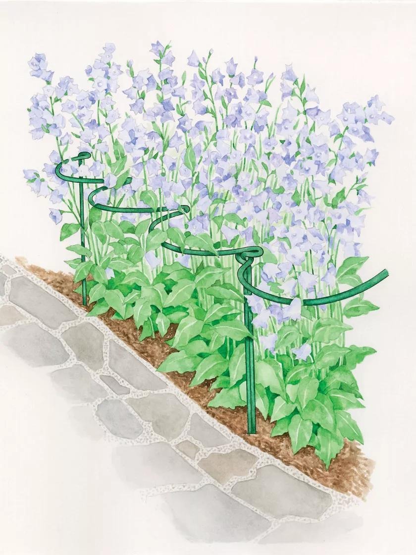 Tidy Path Supports