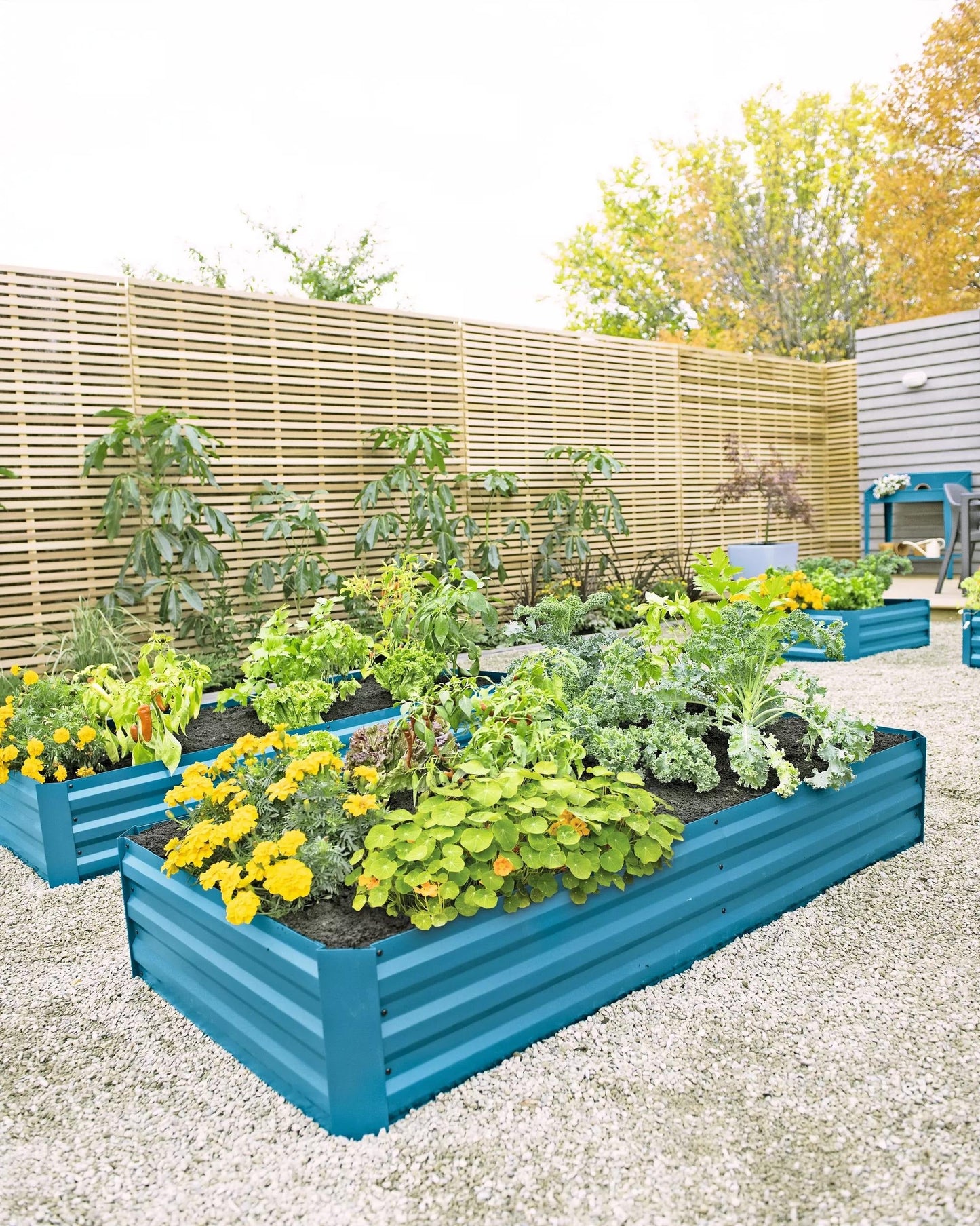 DemeterTM Corrugated Metal Raised Bed, 34" x 68" (12" D)