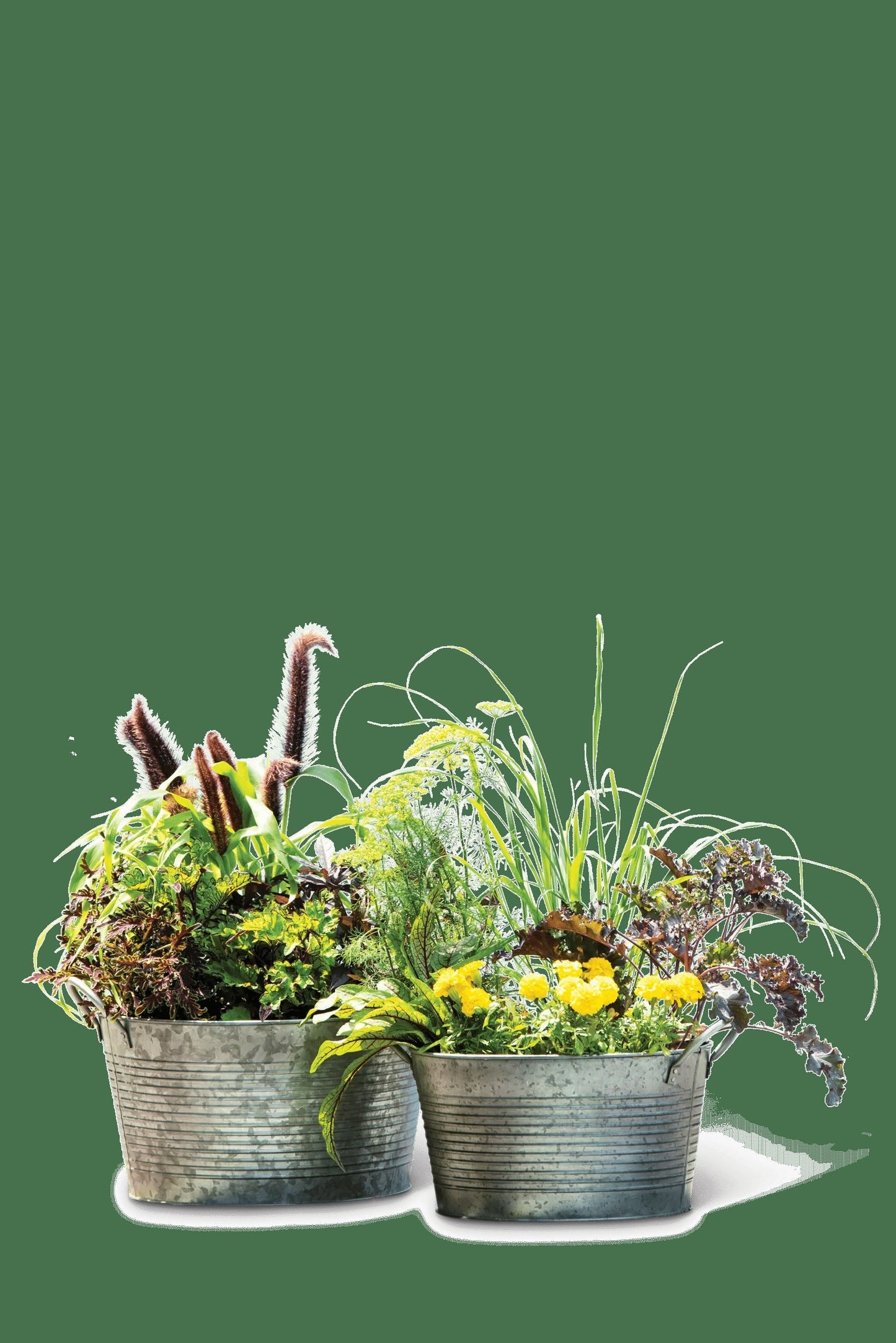 Galvanized Wash Basin Planters, Set of 2