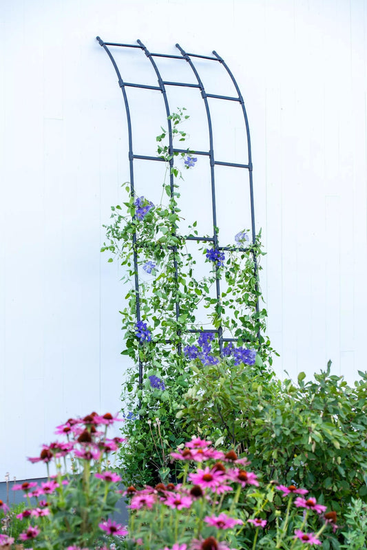 TitanTM Half Arch