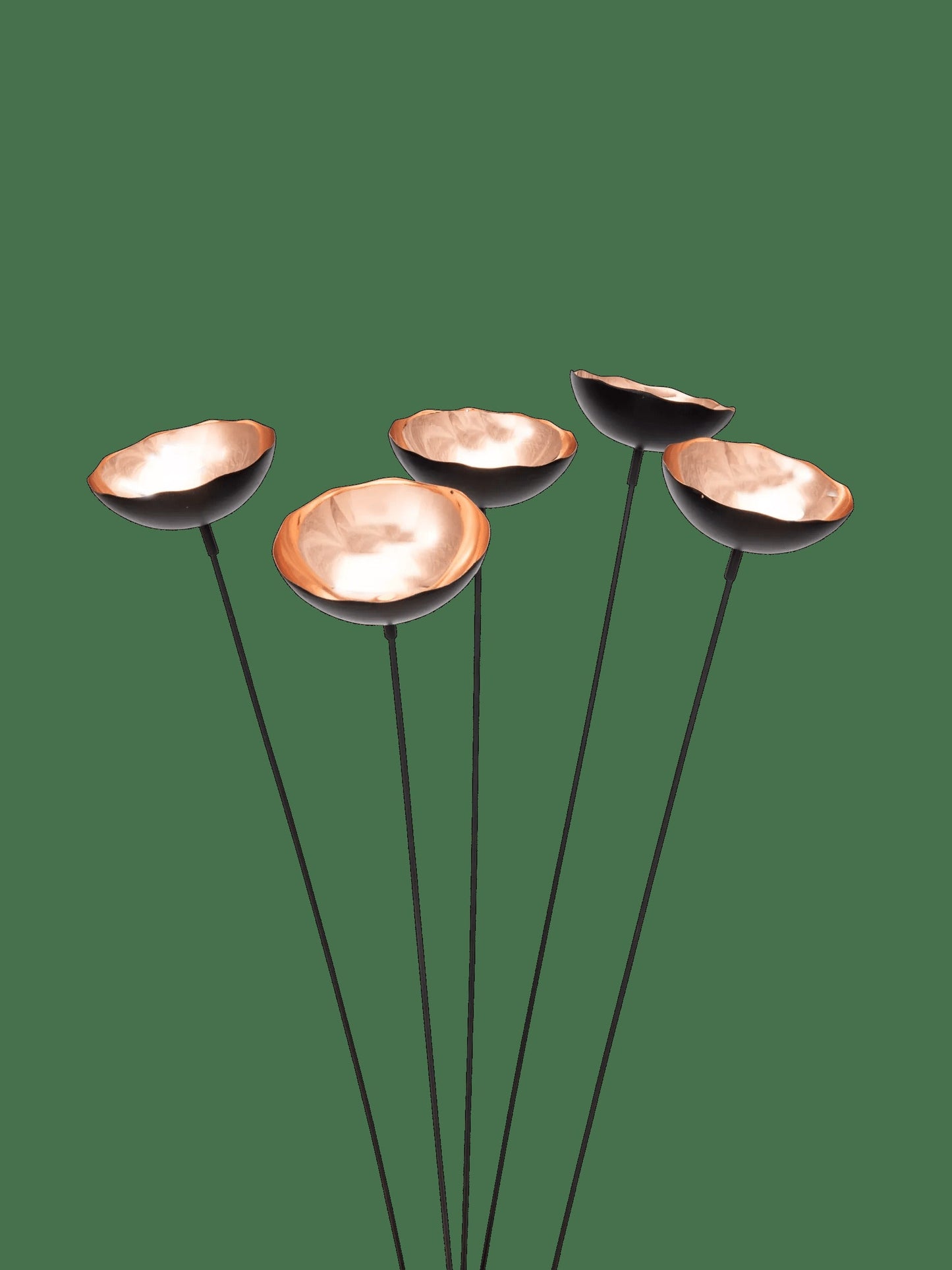 Copper Poppy Sways, Set of 5