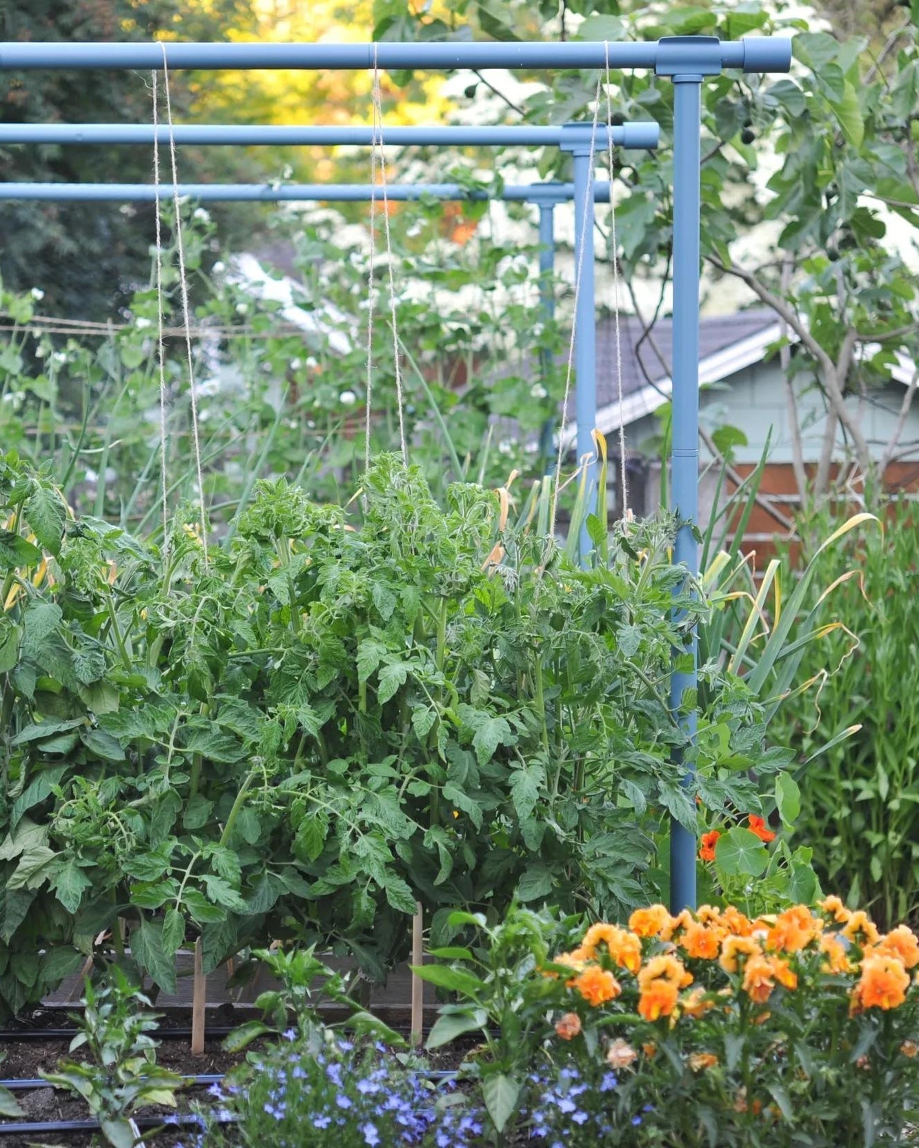 Freyr Garden Trellis