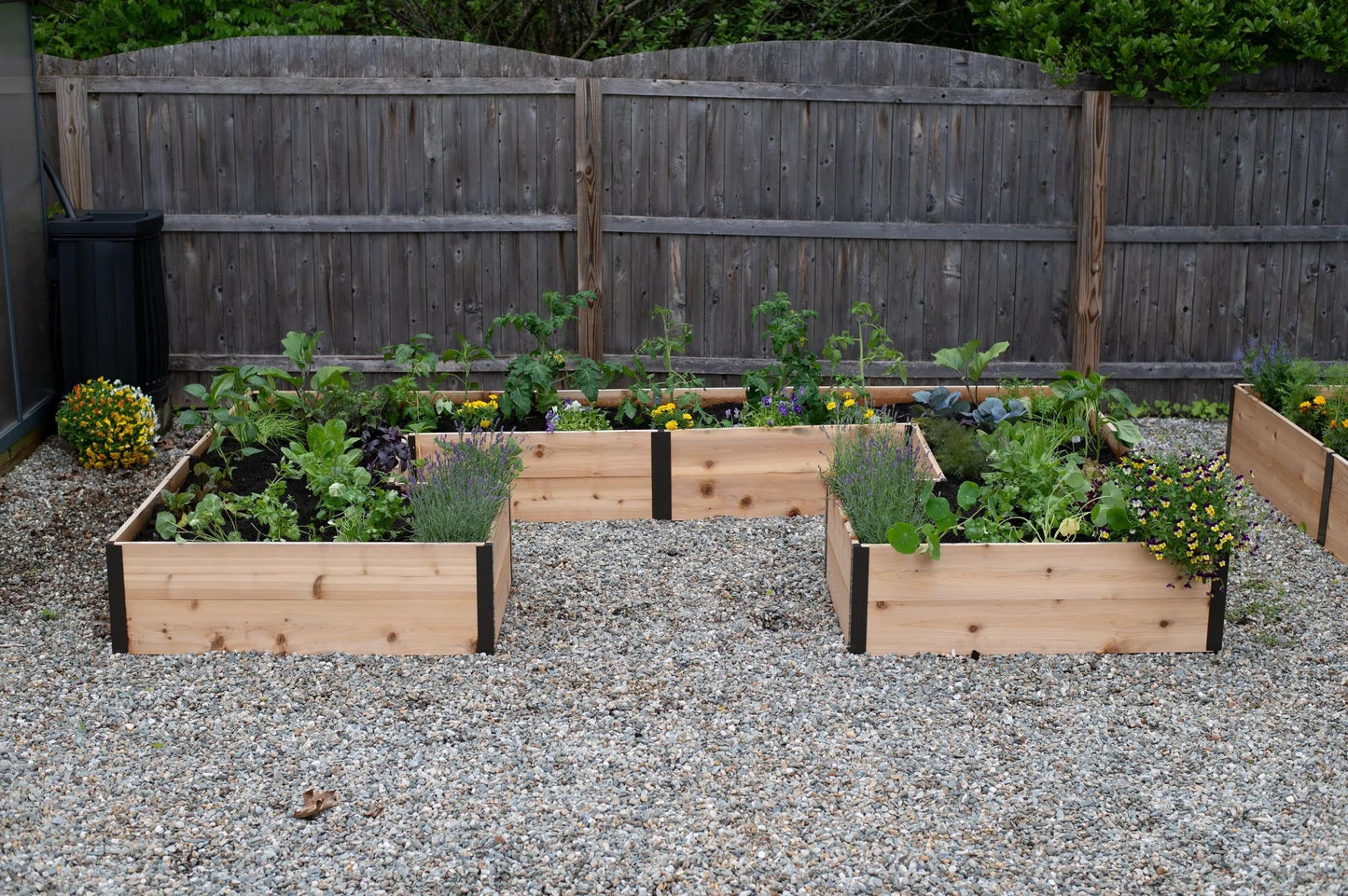Deep Root Cedar Raised Beds, 12' Wide U-Shaped (14" D)