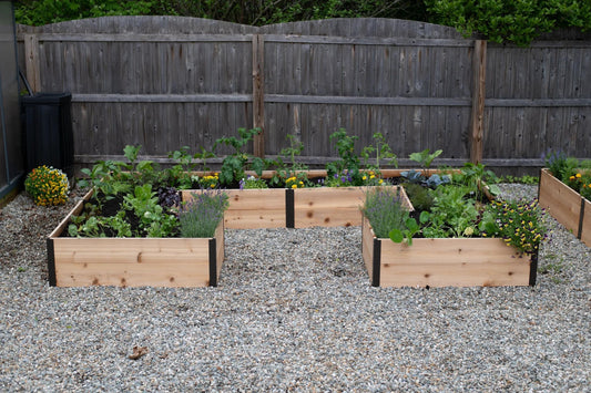 Deep Root Cedar Raised Beds, 12' Wide U-Shaped (14" D)