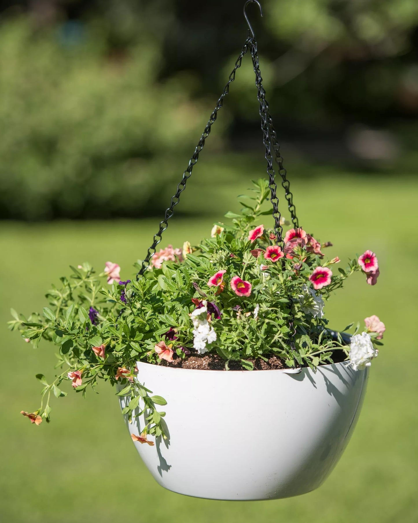 VivaTM Self-Watering Hanging Basket, 14" Diameter