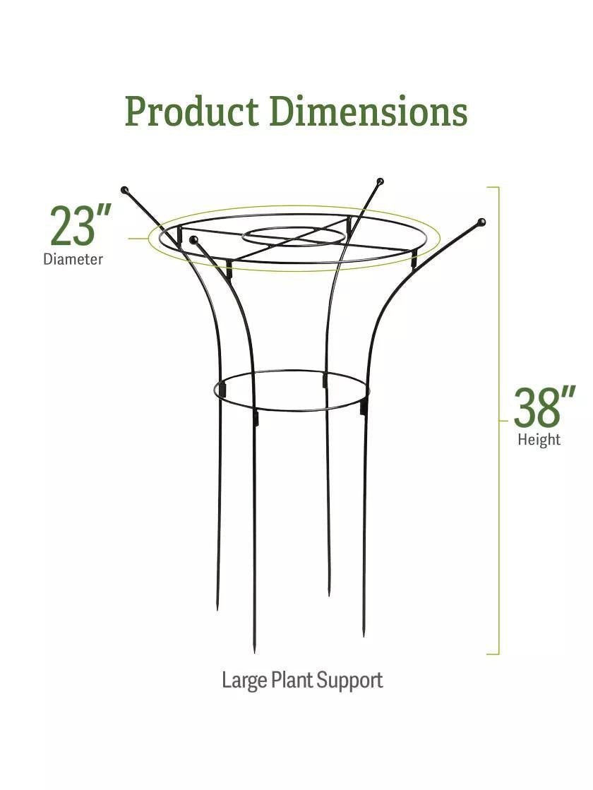 EssexTM Plant Supports