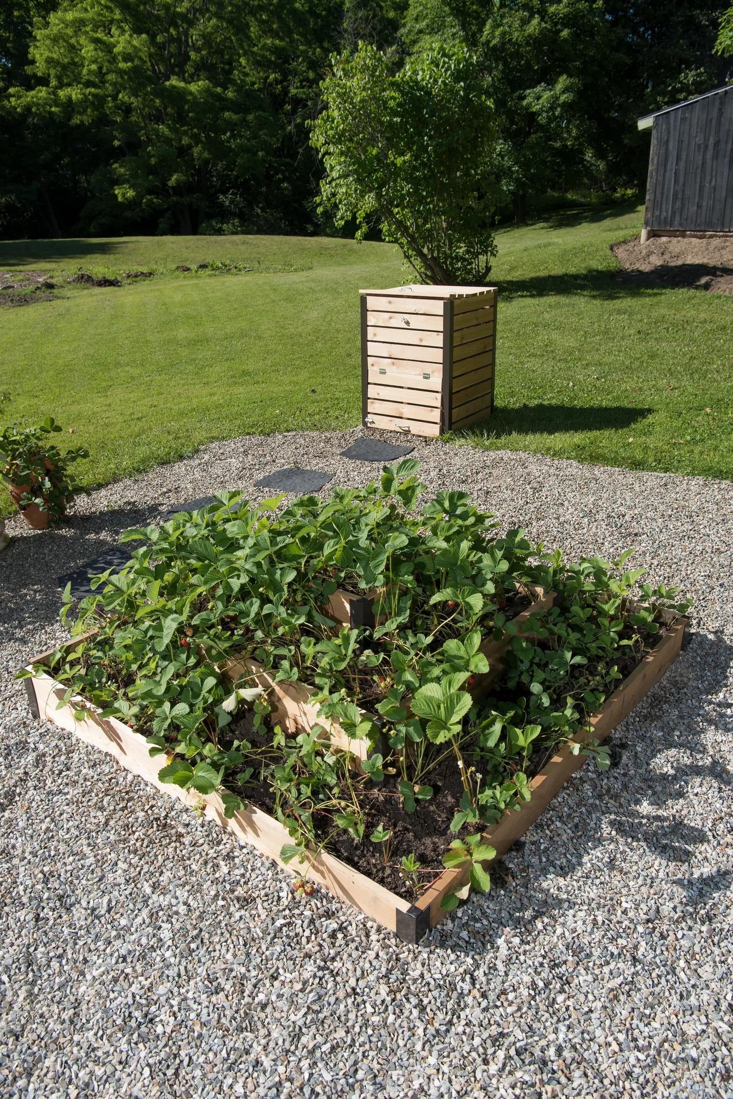 3-Tier Strawberry Cedar Bed