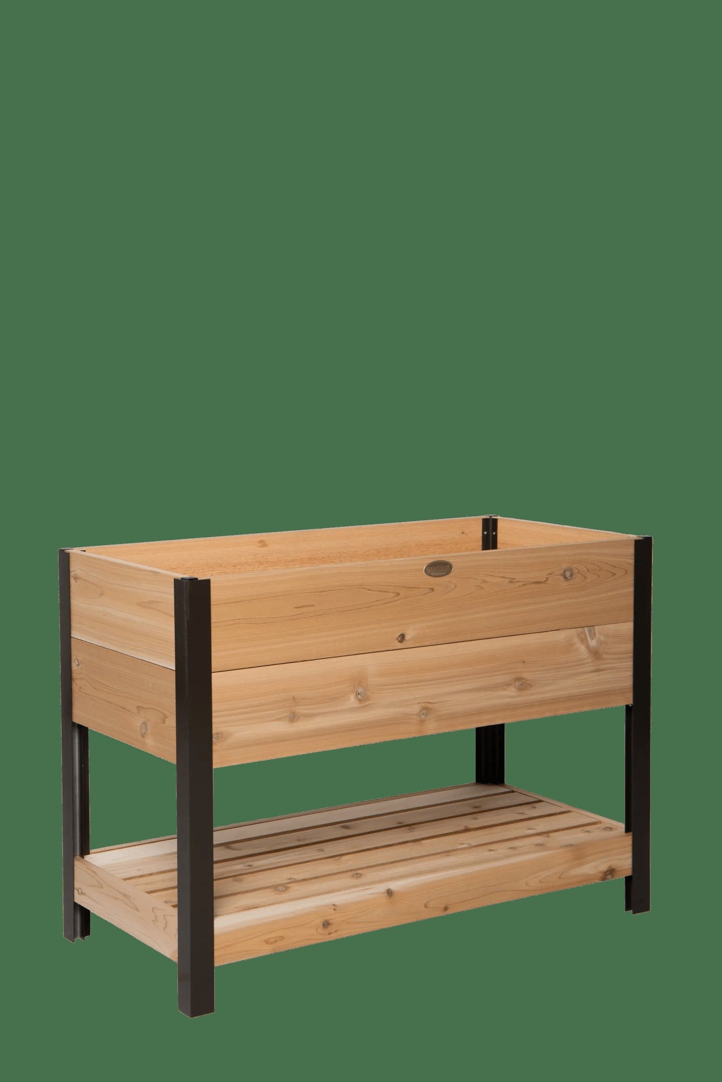 Elevated Cedar Planter Box with Shelf, 2' x 4'