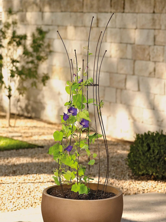 JardinTM Pot Trellis