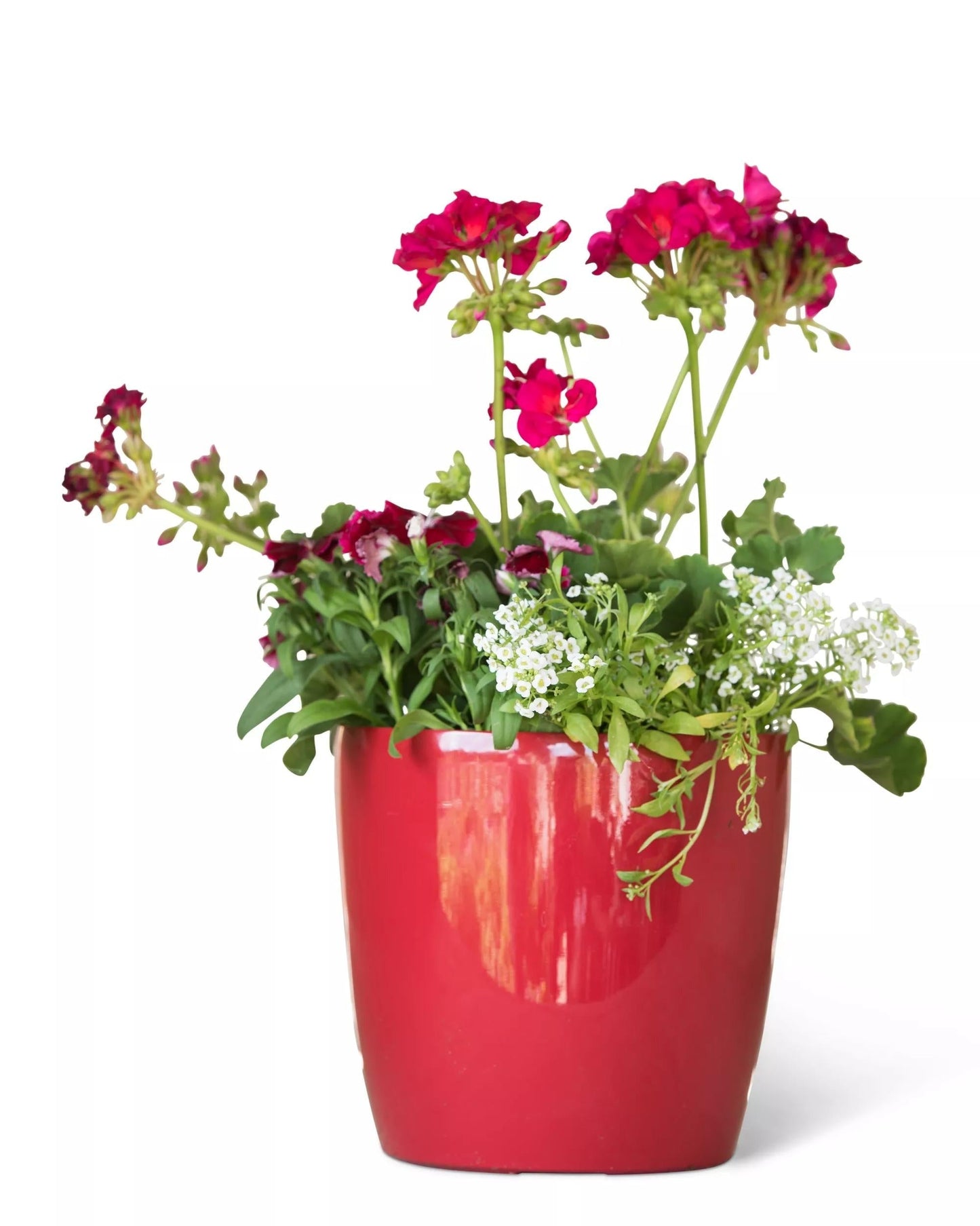 VivaTM Round Self-Watering Planter, 7" Diameter
