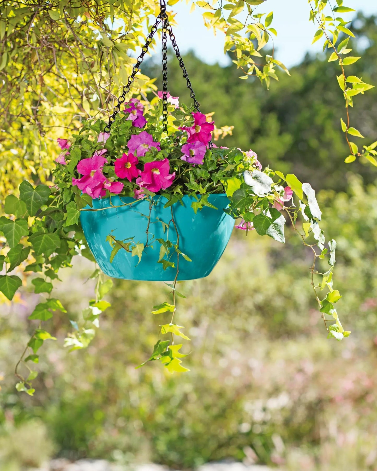 VivaTM Self-Watering Hanging Basket, 11" Diameter