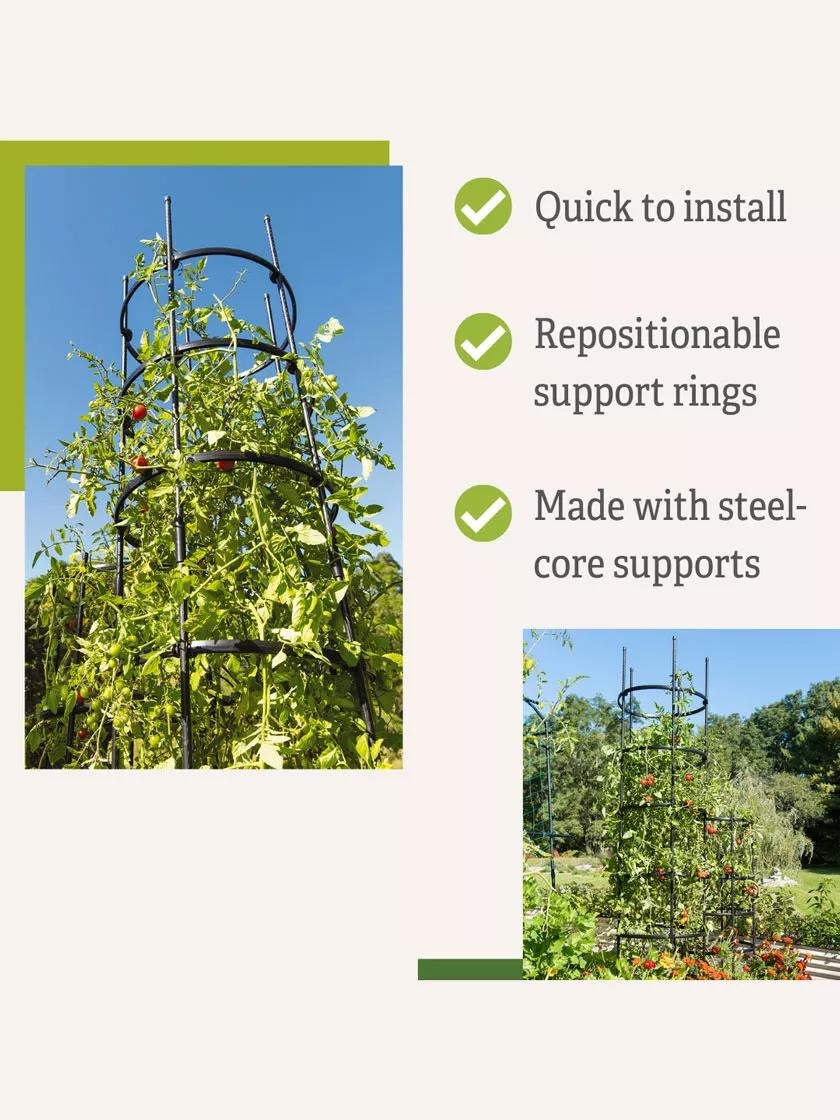 TitanTM Tall Tomato Cages, Set of 3