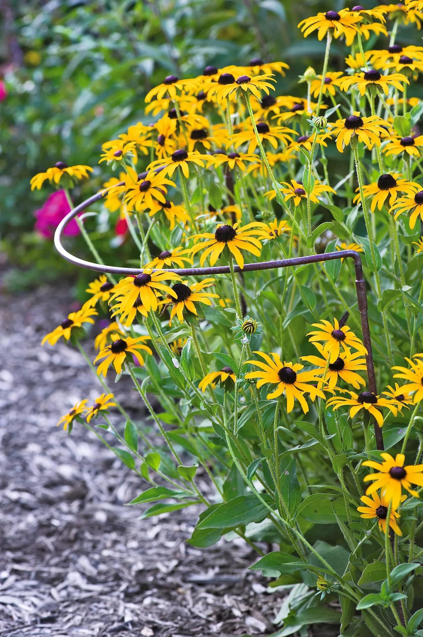 JardinTM Half-Round Plant Supports, Set of 2