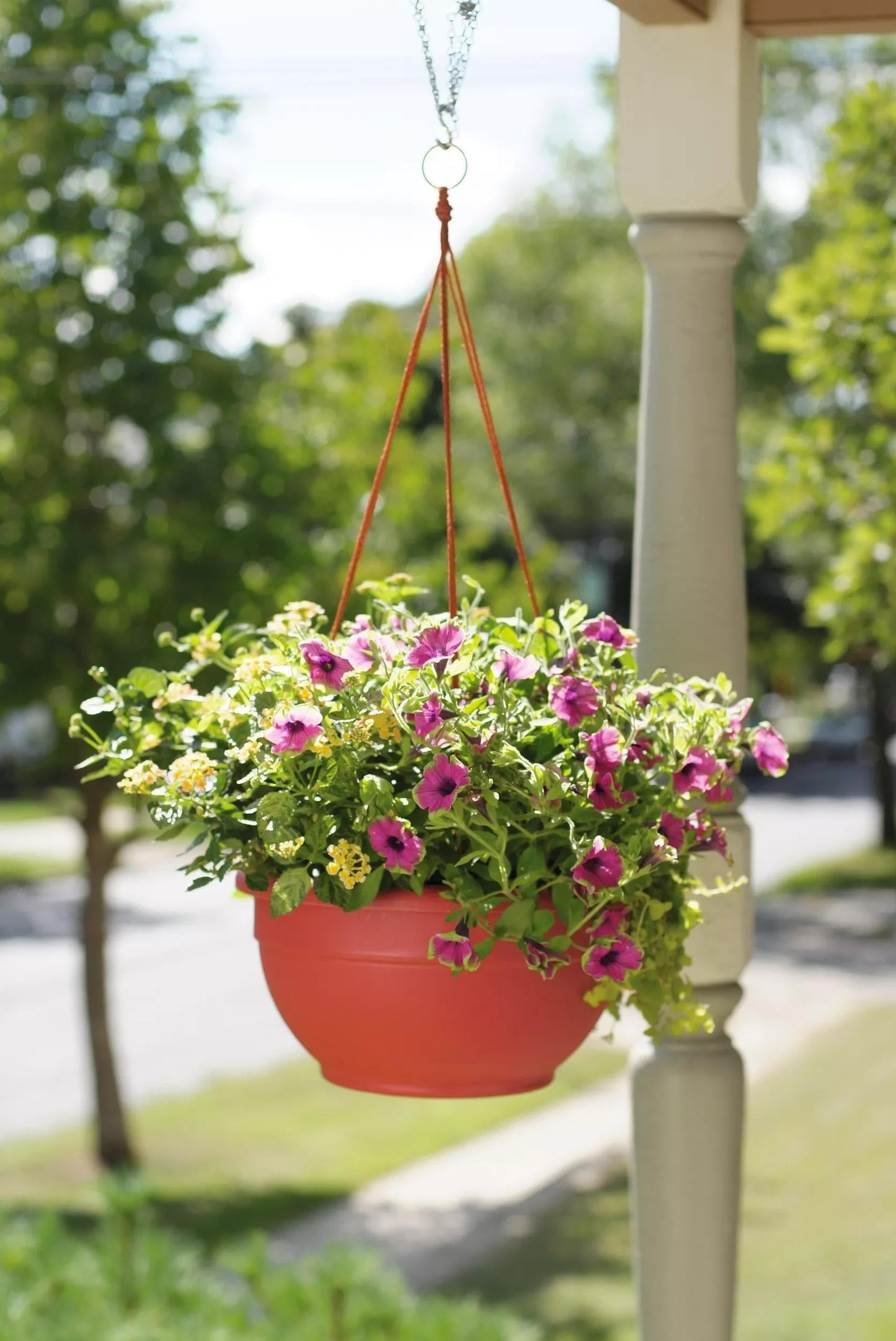 Self-Watering Hanging Basket