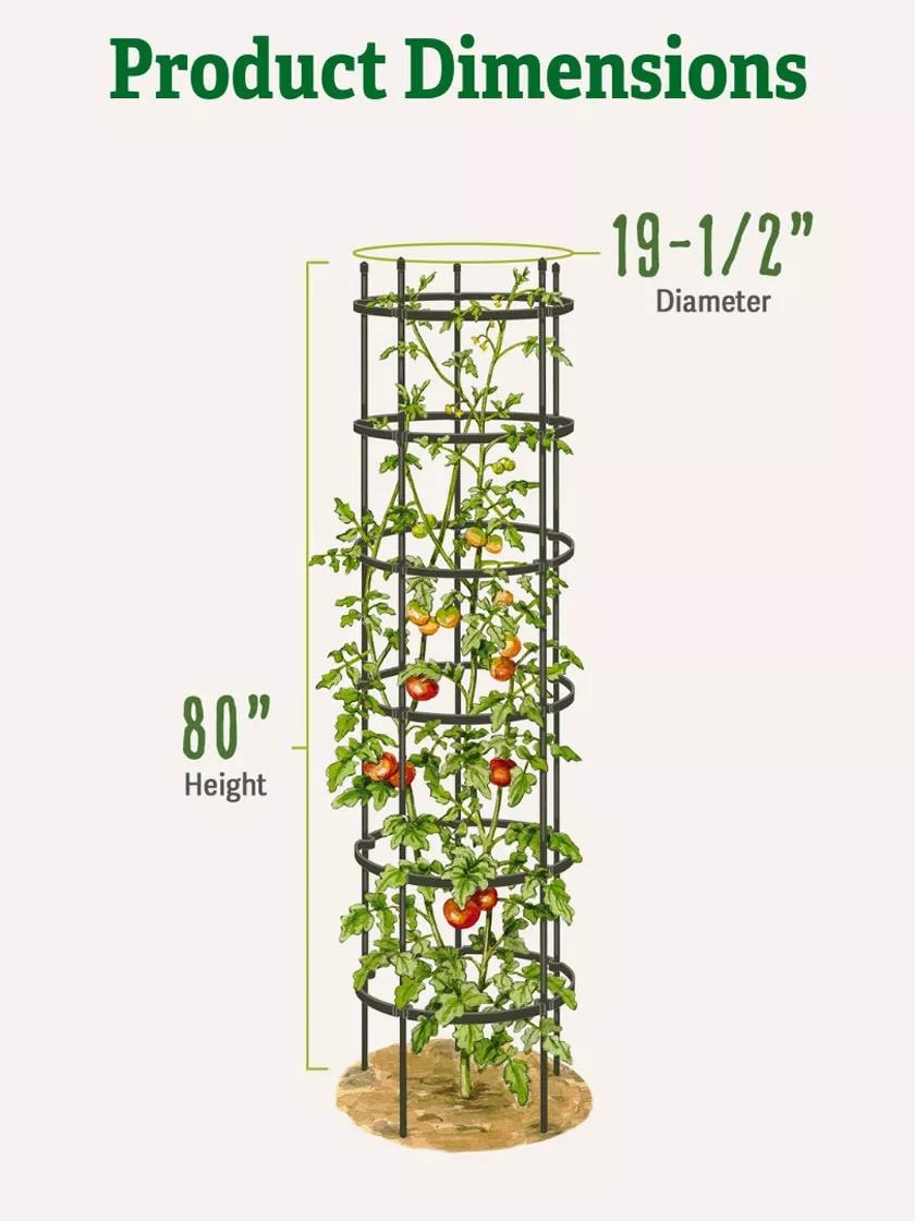 TitanTM Tall Tomato Cages, Set of 3