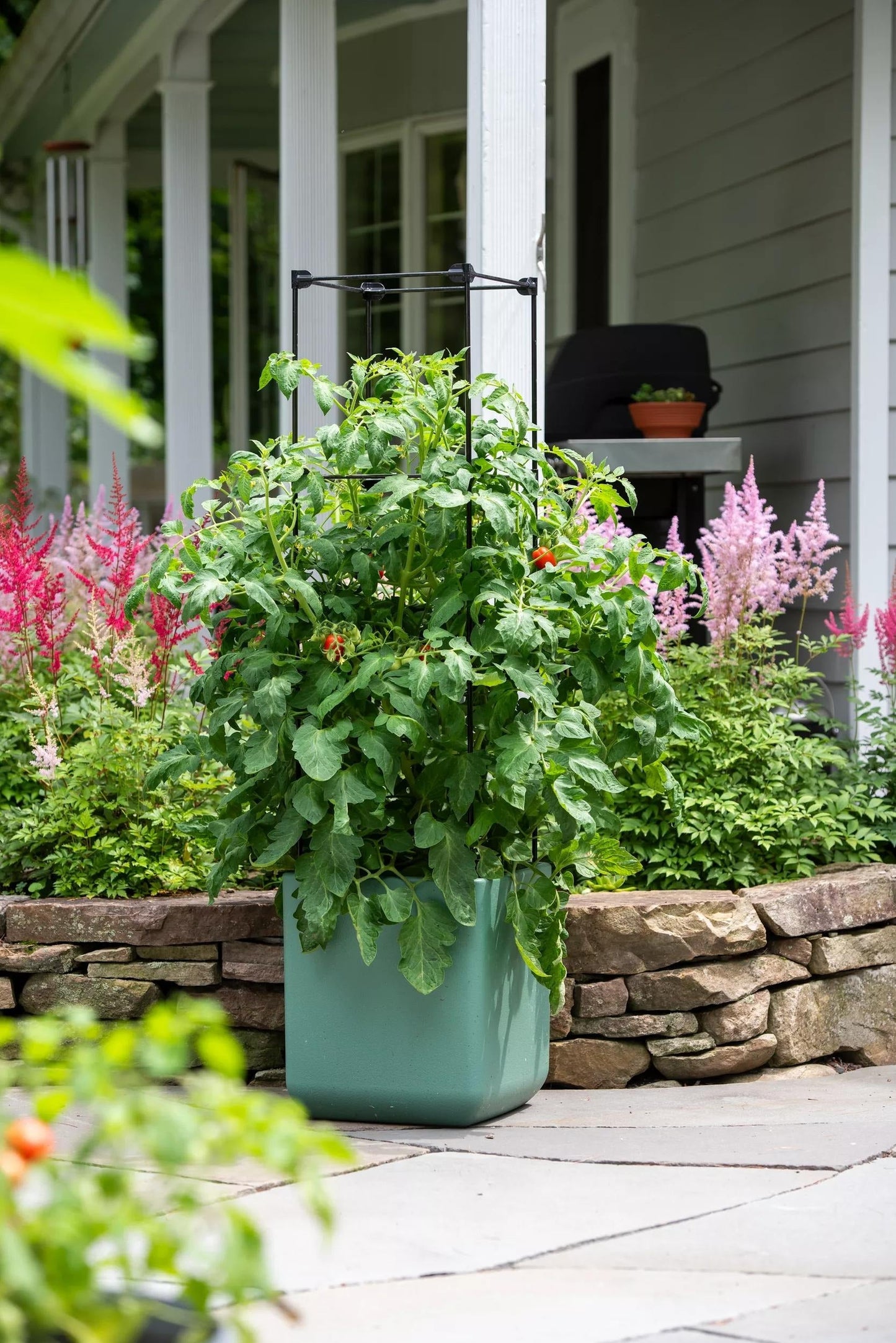 OasisTM Self-Watering Tomato Planter With Trellis