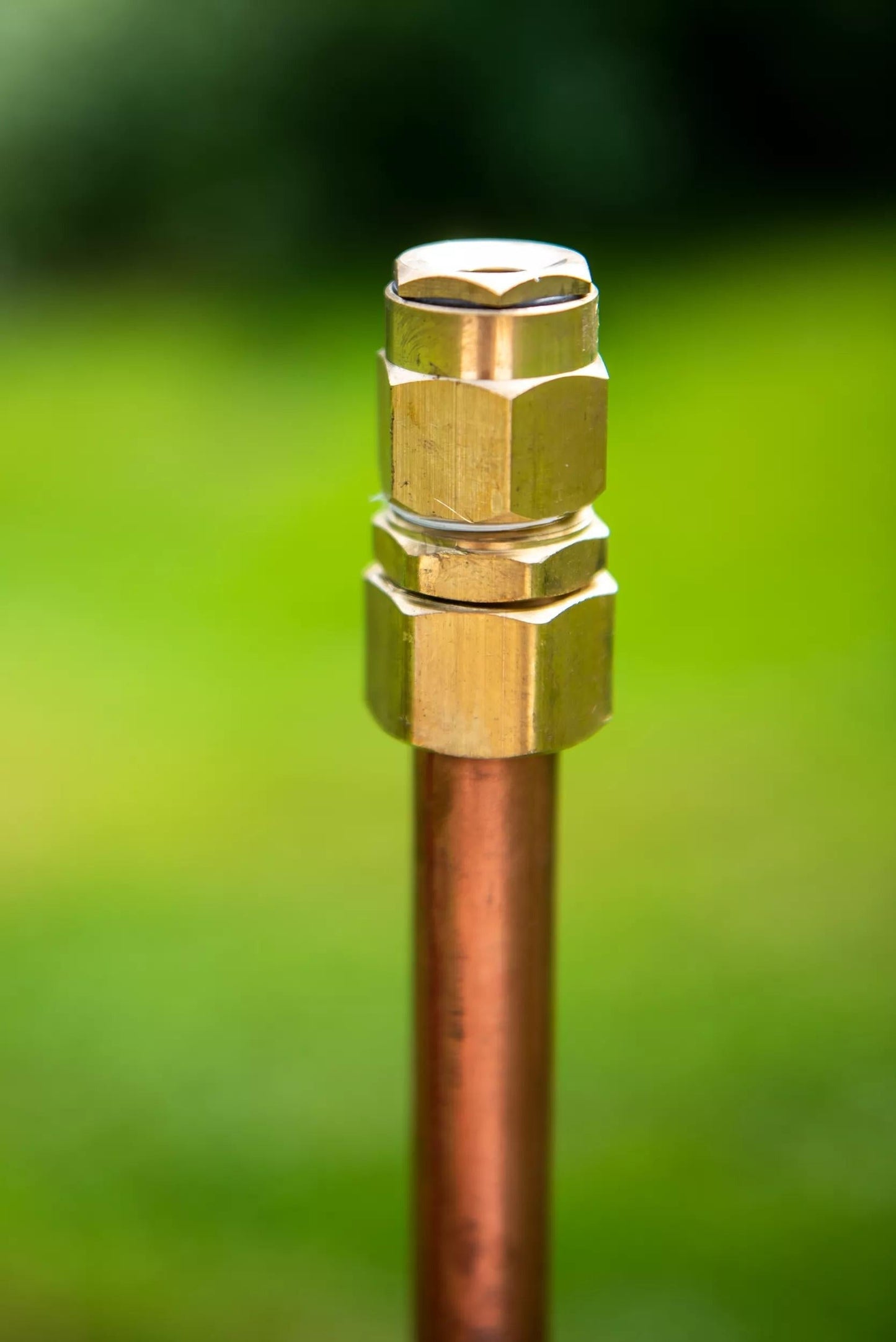 Hi-Rise LifetimeTM Sprinkler