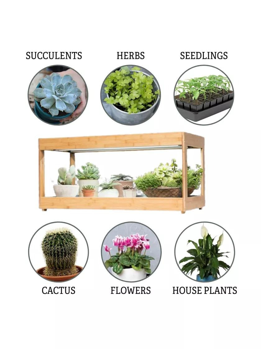 Low Bamboo LED Grow Light Garden