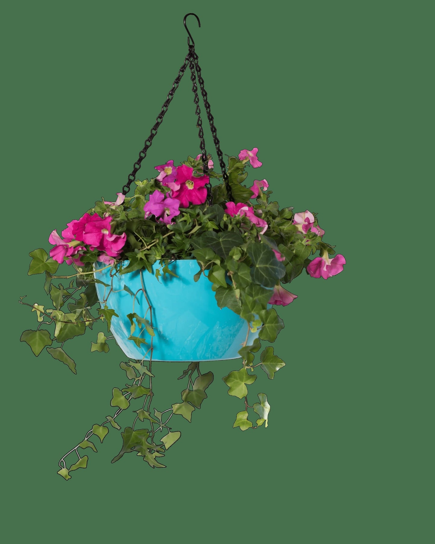 VivaTM Self-Watering Hanging Basket, 11" Diameter